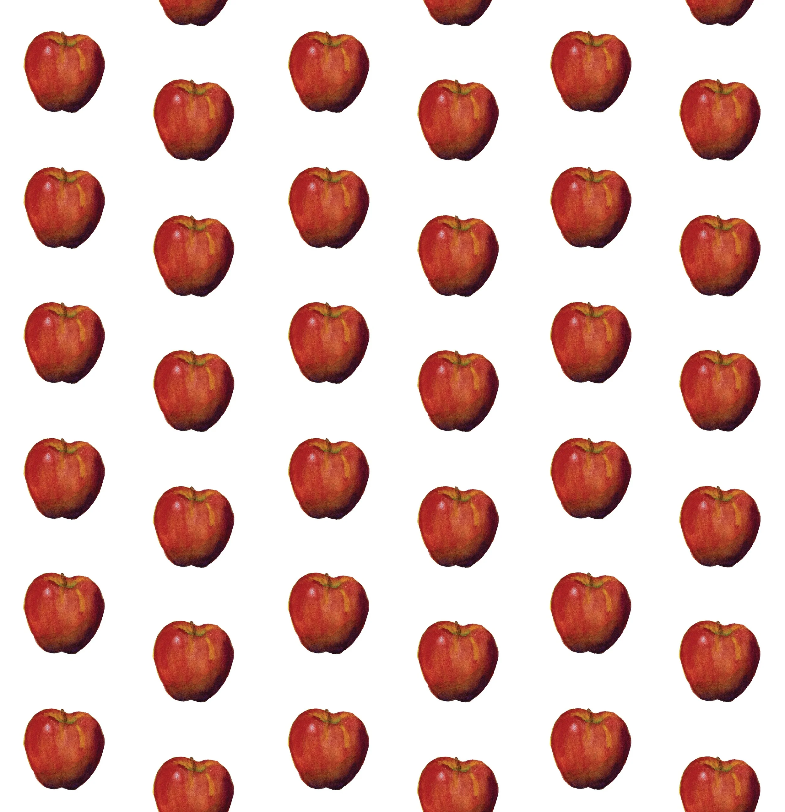 preservery_applepattern LARGE.jpg