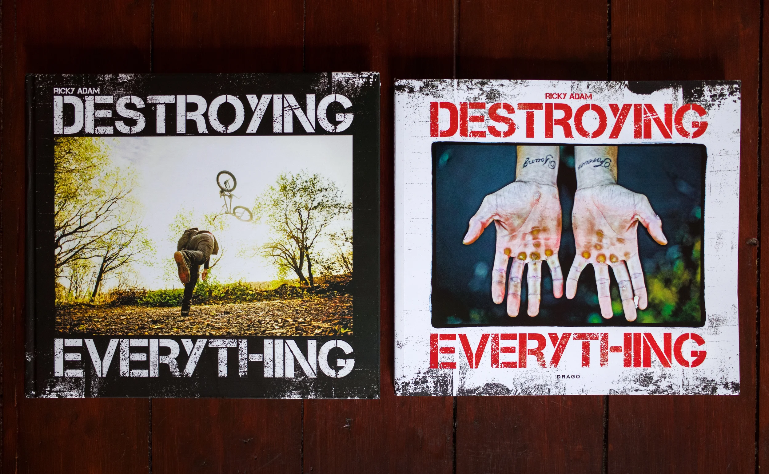 'Destroying Everything' - 202 pages - 1st edition published in 2012 by Holy Land Pros - 2nd edition published in 2013 by Drago
