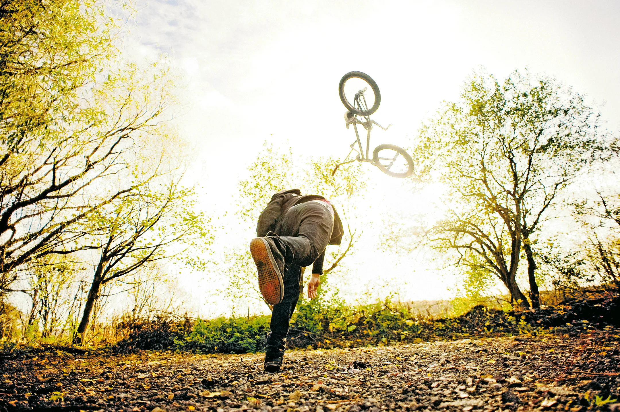 ben bike chucker print midas.jpg
