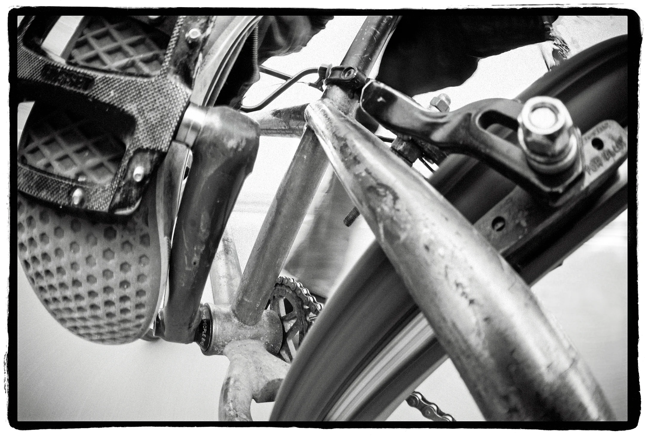 fisheye bike for print lustre.jpg