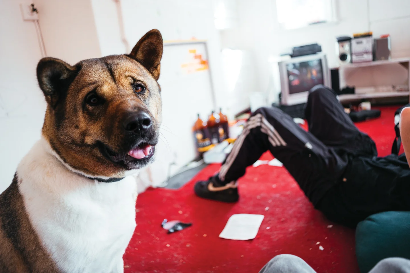 ©RickyAdamPhoto.com-6.jpg