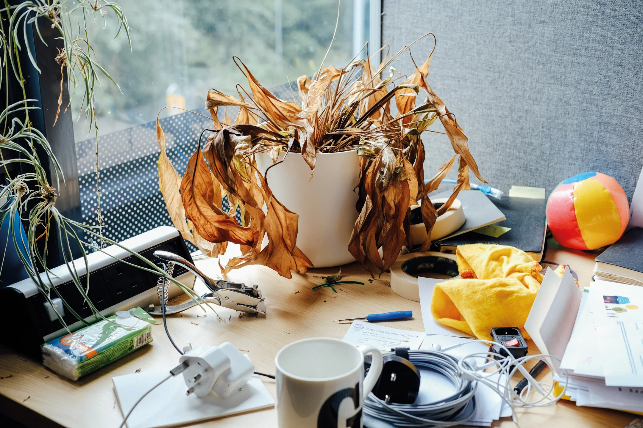 Don T You Forget About Me Ricky Adam Photography