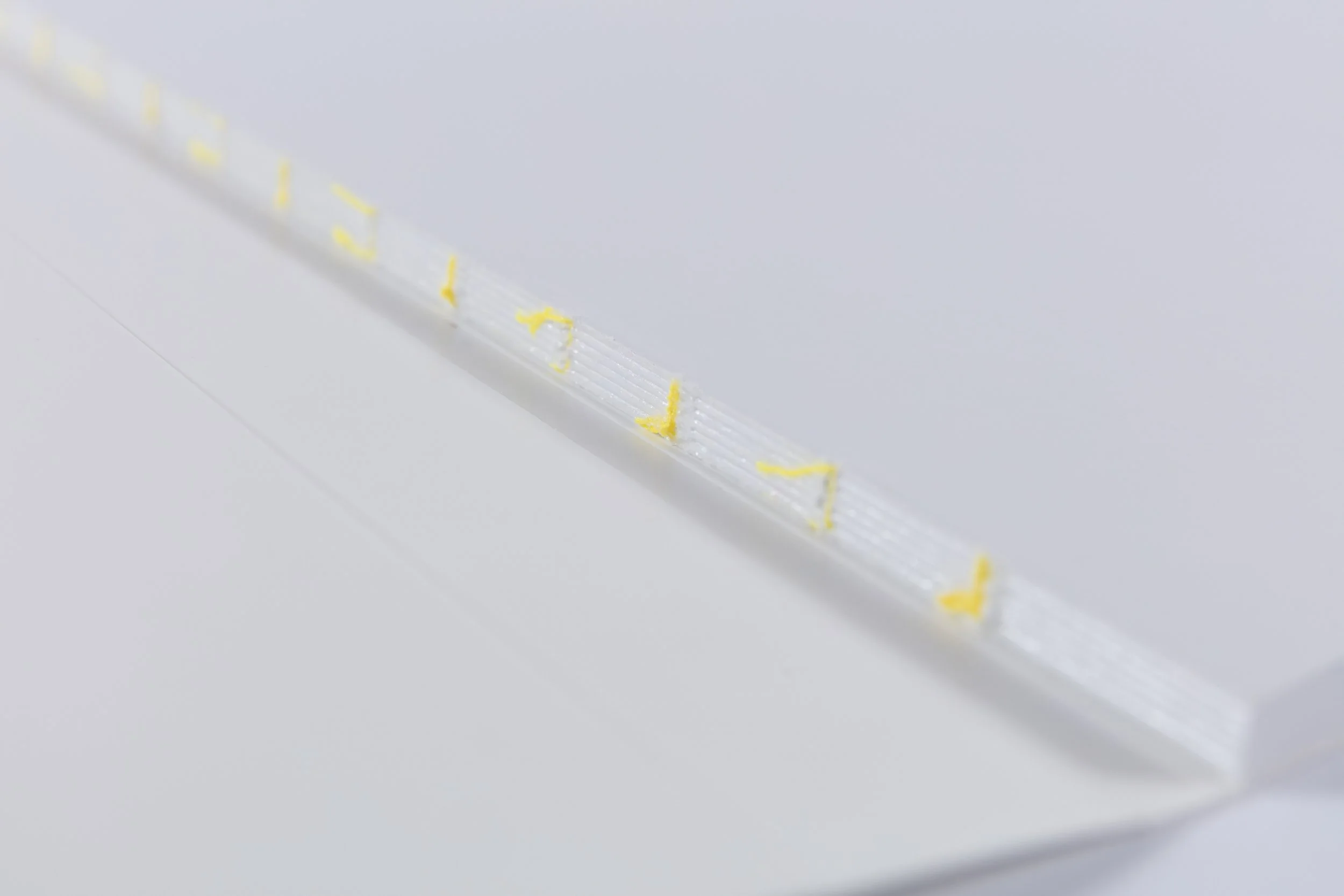 @rickyadamphoto.com (3 of 45).jpeg