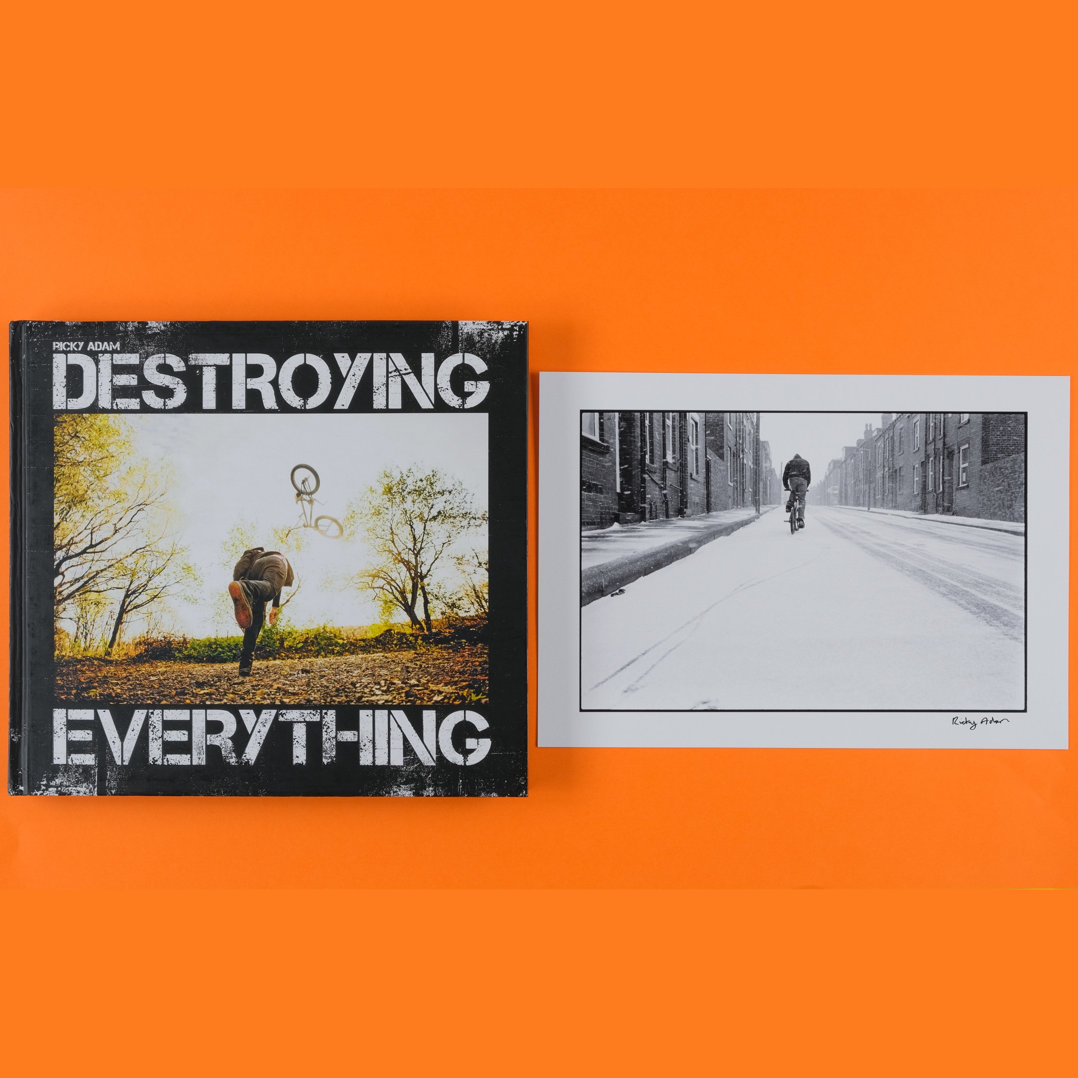 1st Edition) DESTROYING EVERYTHINGSEEMS LIKE THE ONLY OPTION