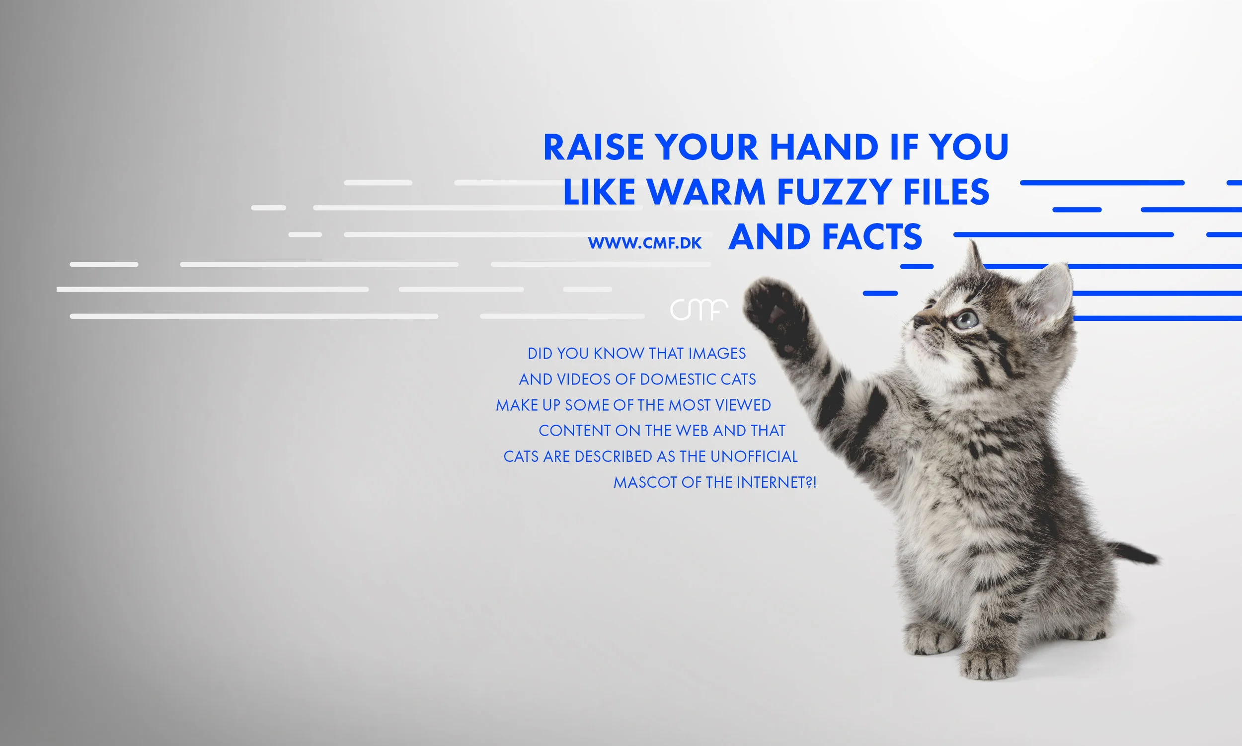 Branding: Wallpaper for Wetransfer with fun fact about media and communication for to educate and inspired clients.