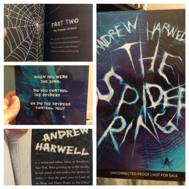 galleys.jpg