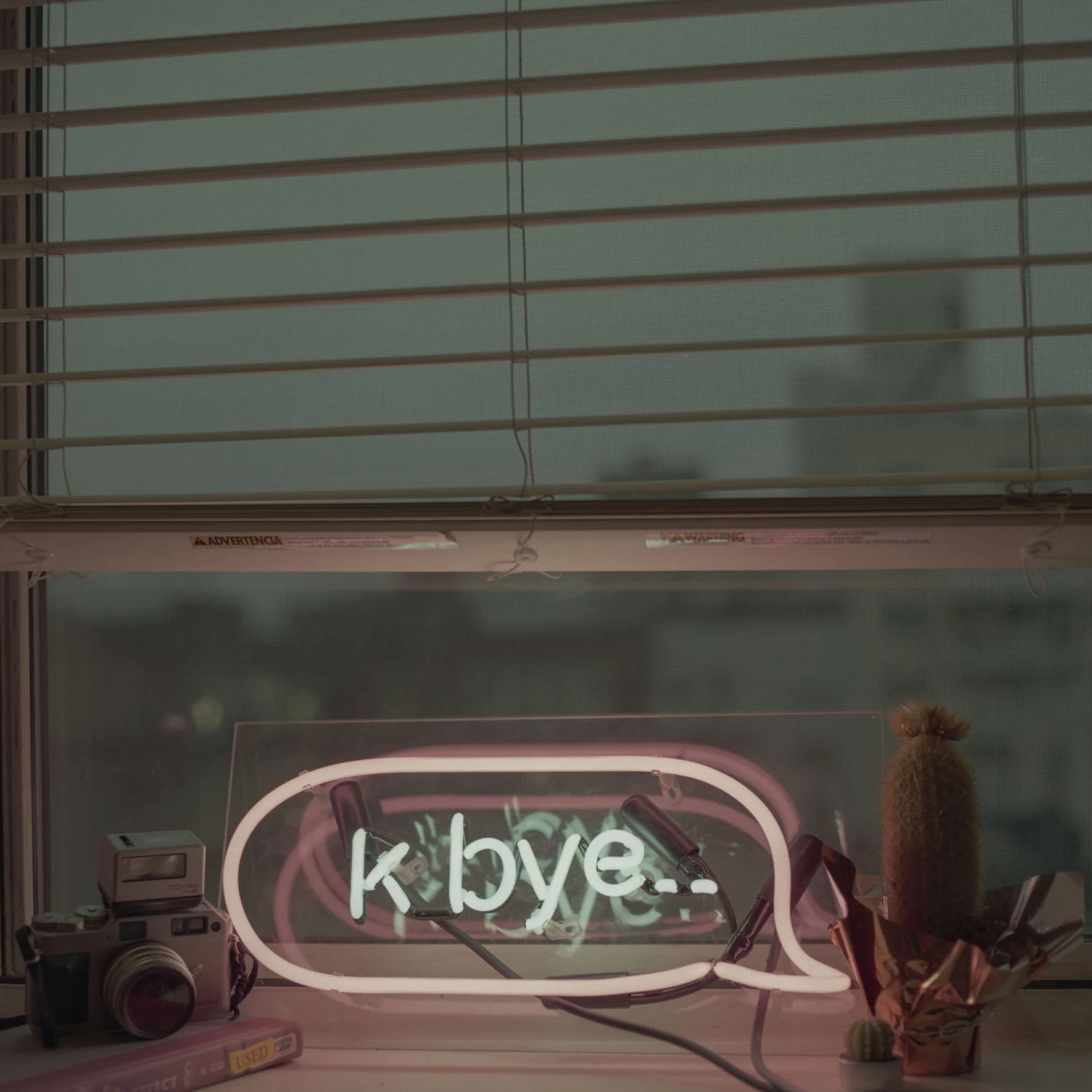  Petra Collins x Topshop 