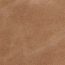Sahara