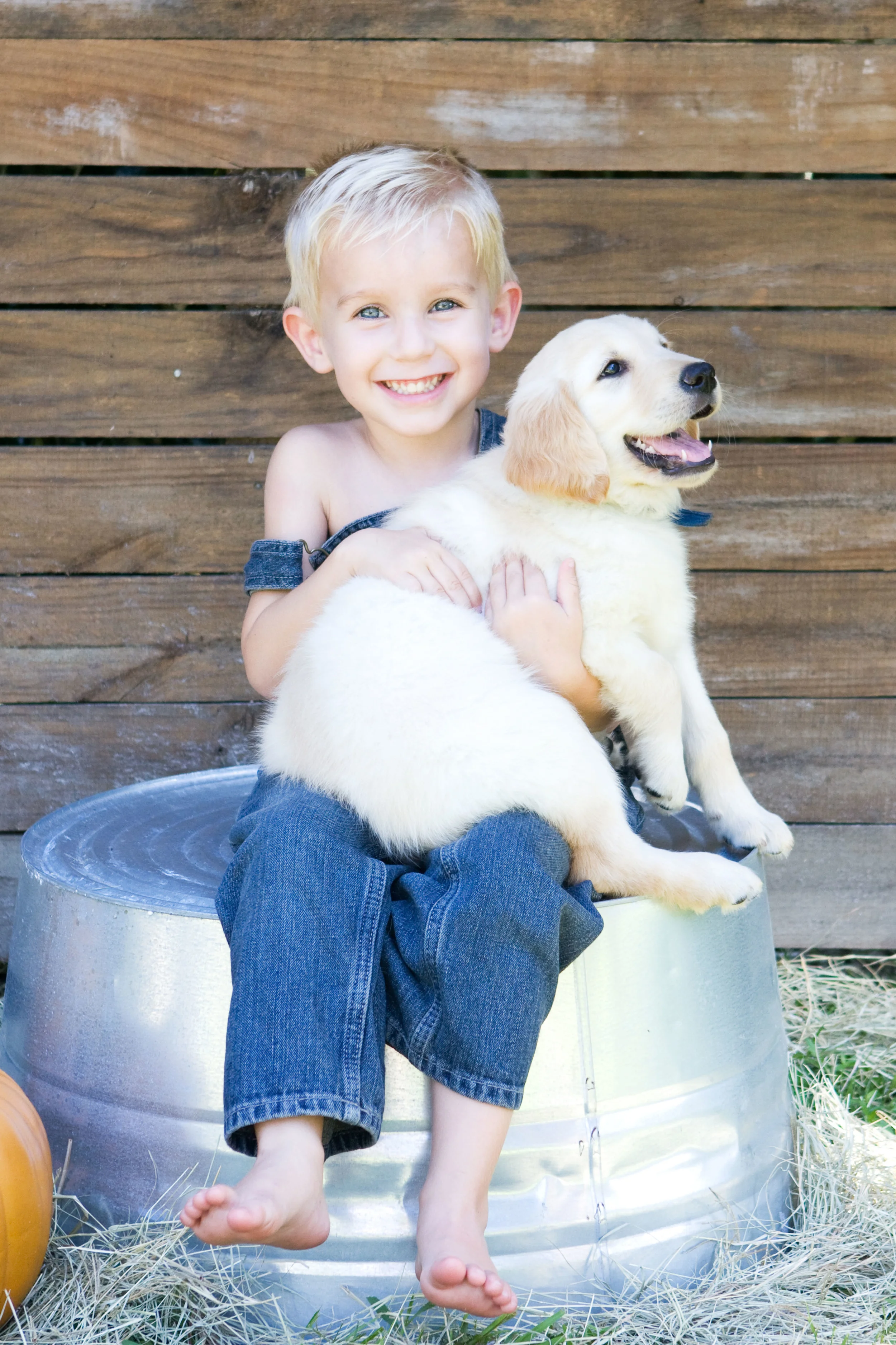025Family_Color_DOG.jpg
