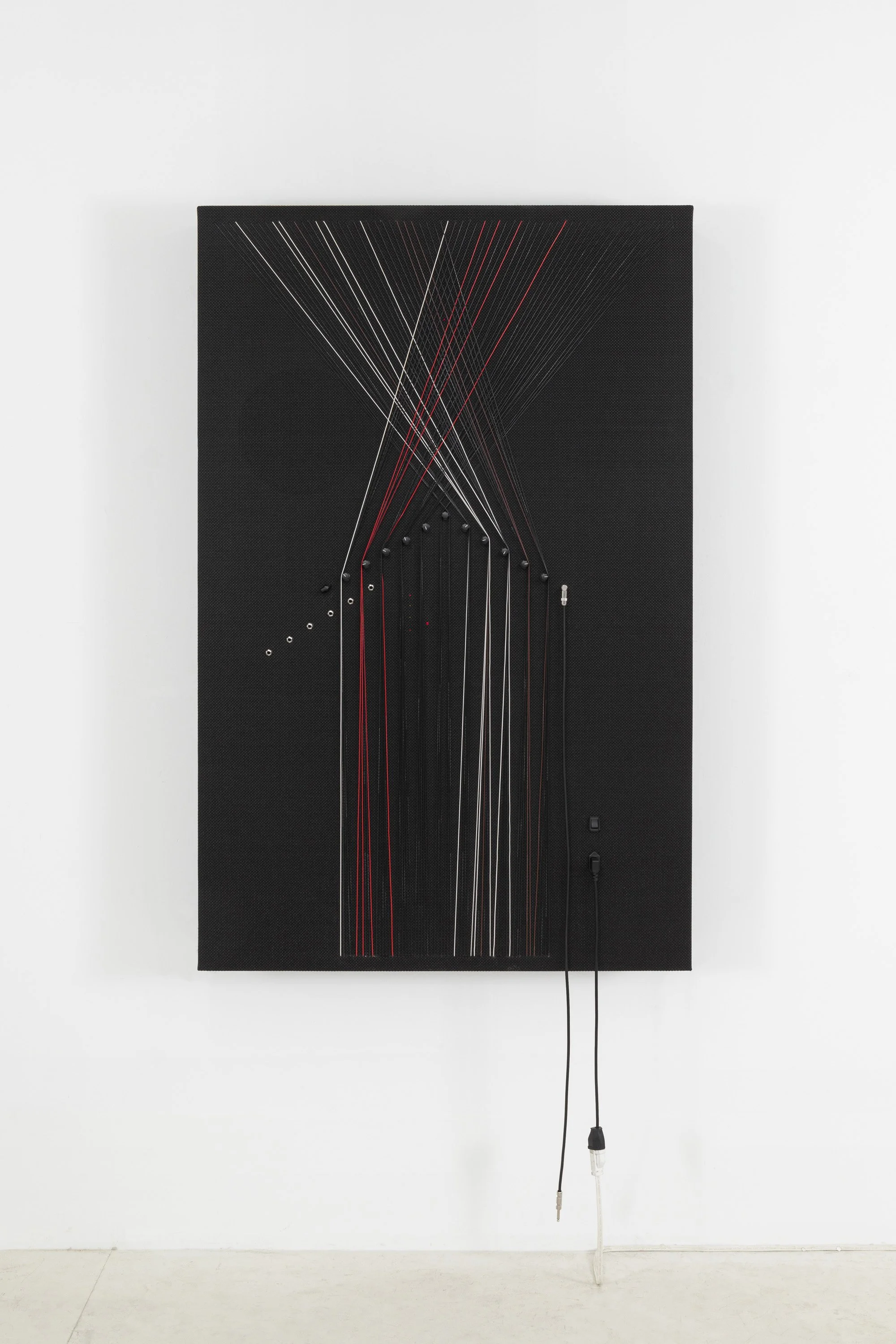 Transition, 2019