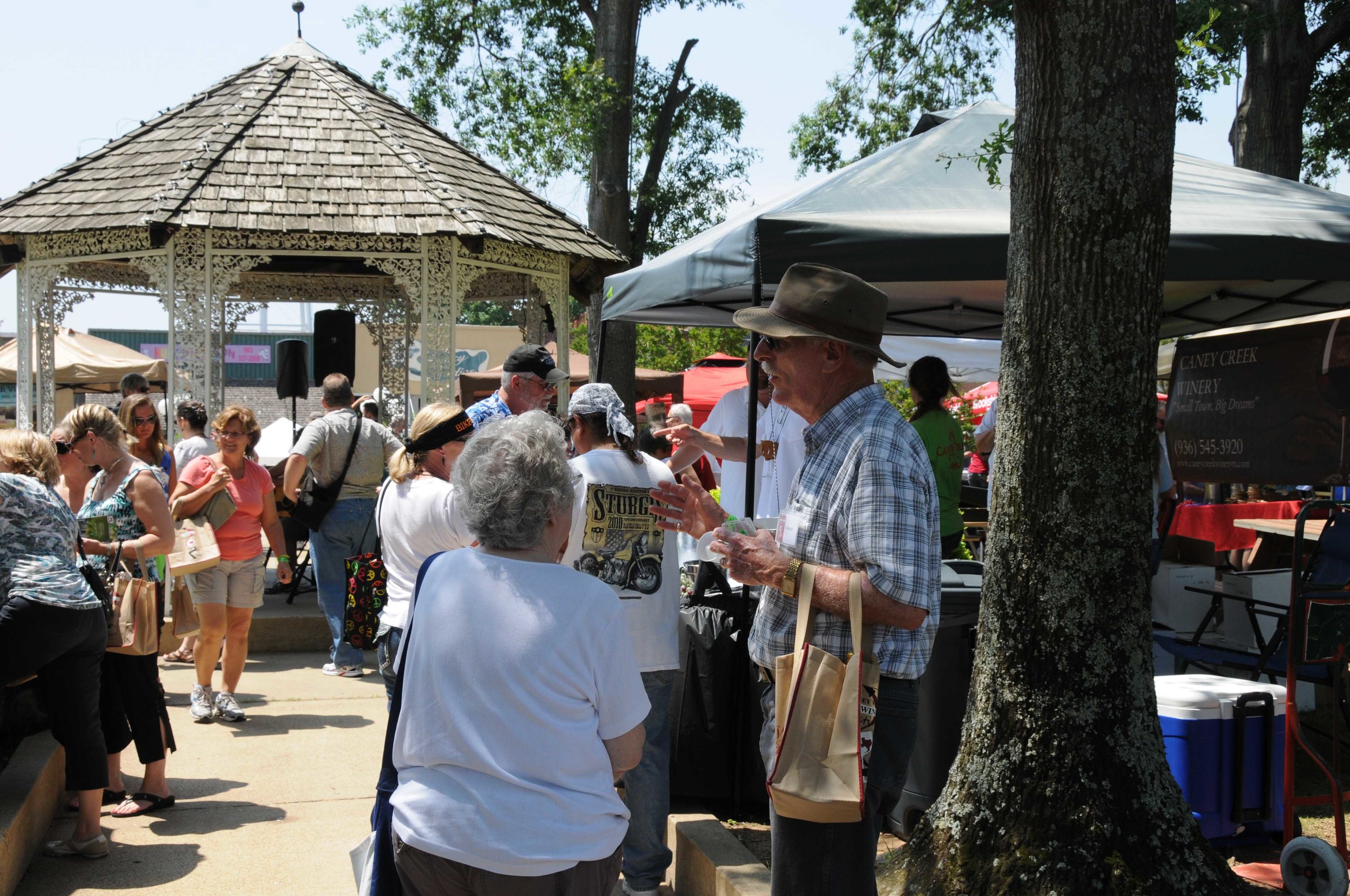 PINEY WOODS FESTIVAL MV 2013 030.jpg