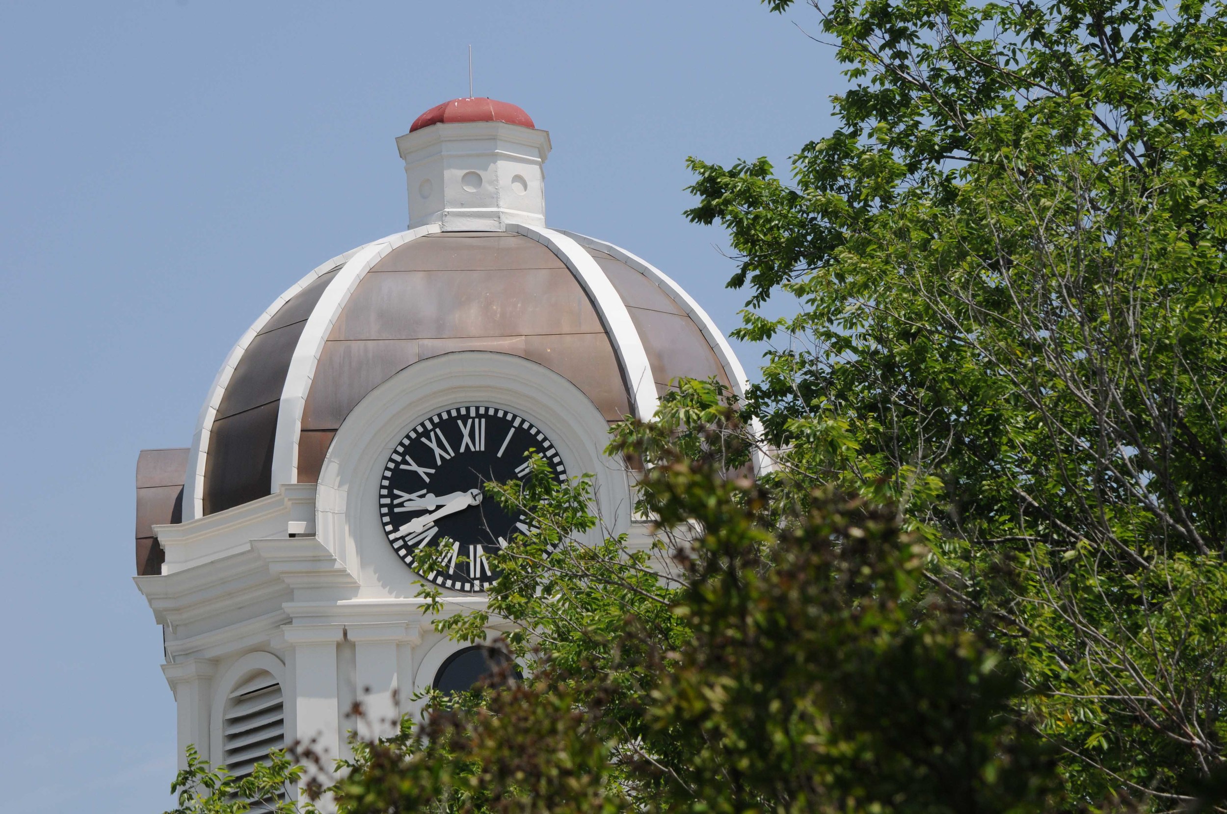 PINEY WOODS FESTIVAL MV 2013 039.jpg