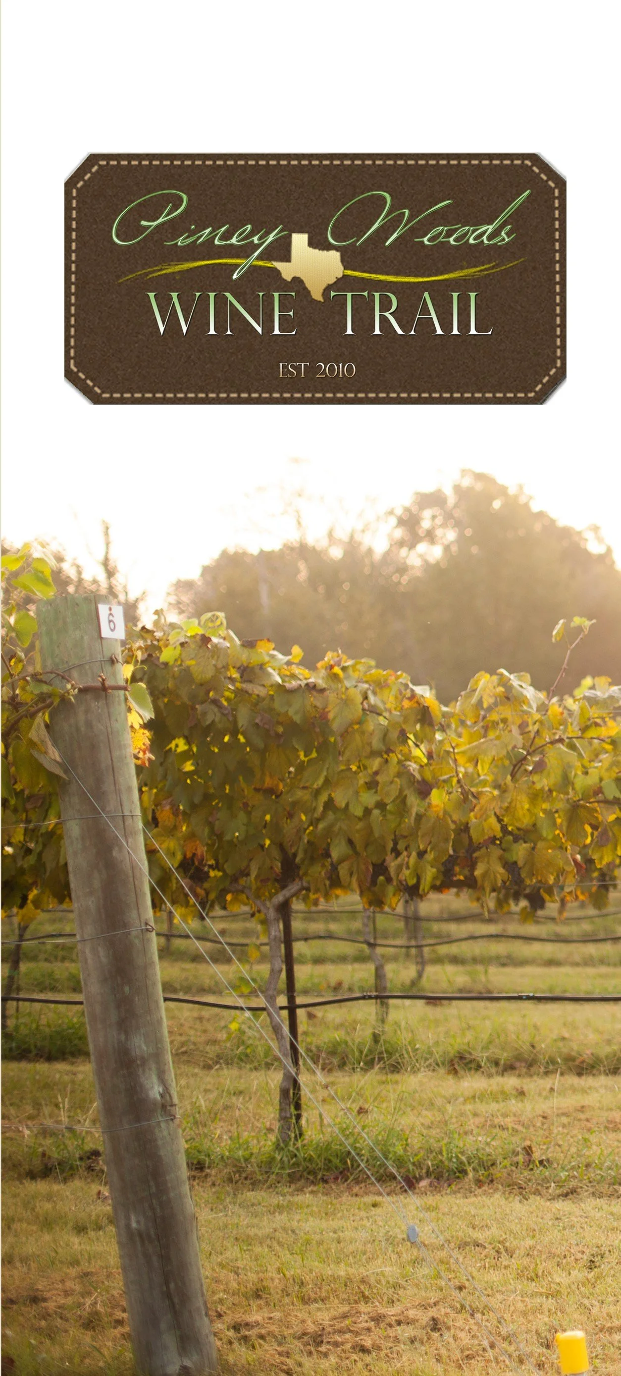 Brochure — Piney Woods Wine Trail