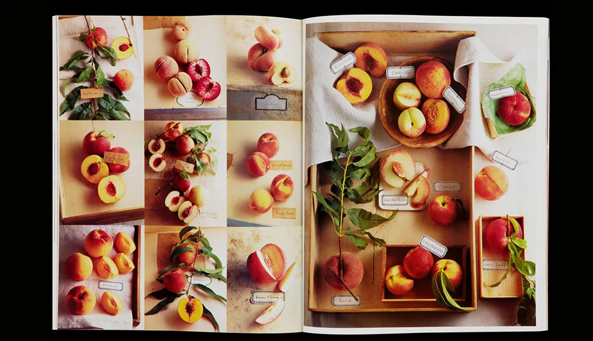 Peaches