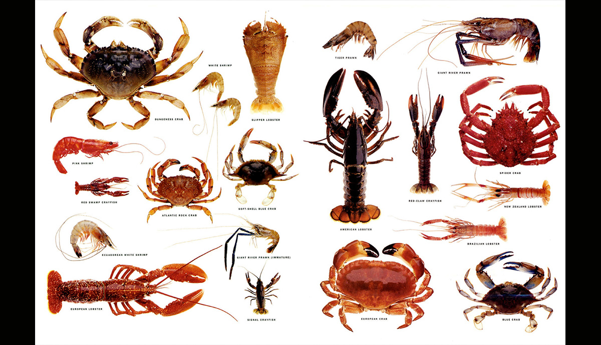 Crustaceans