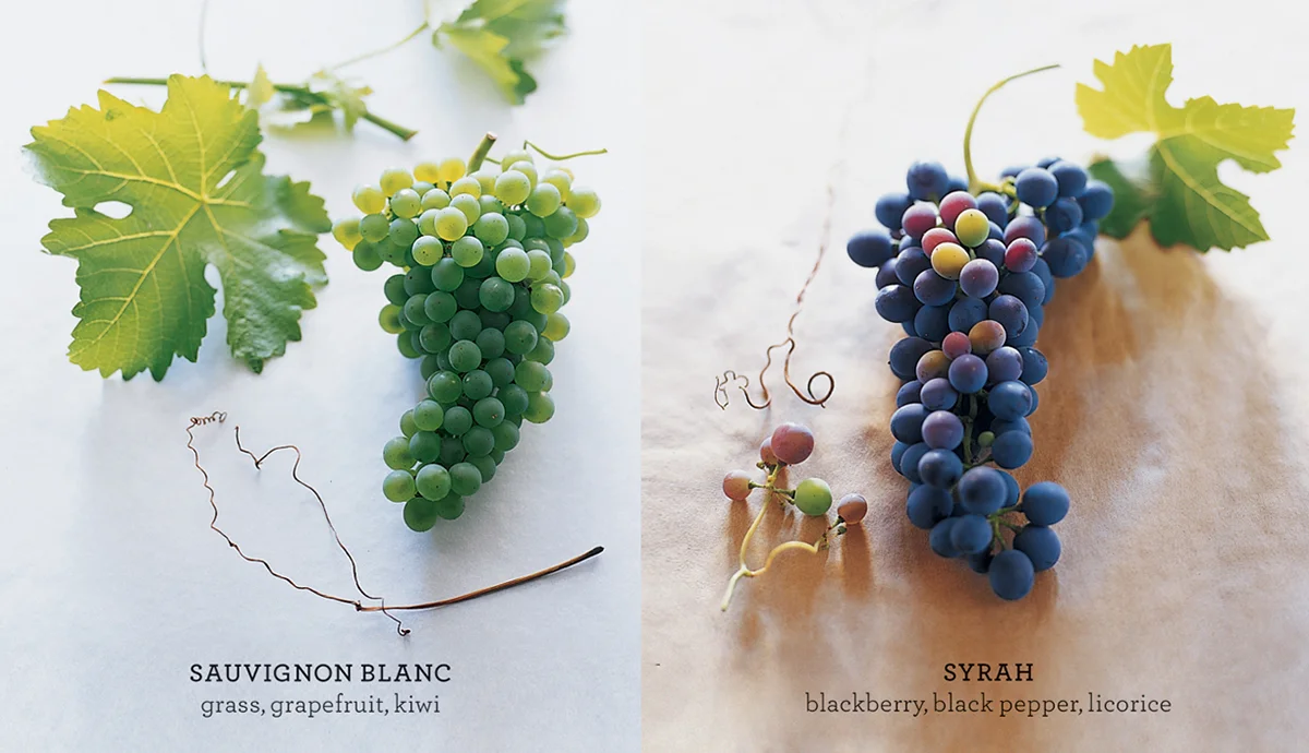 Wine Grapes