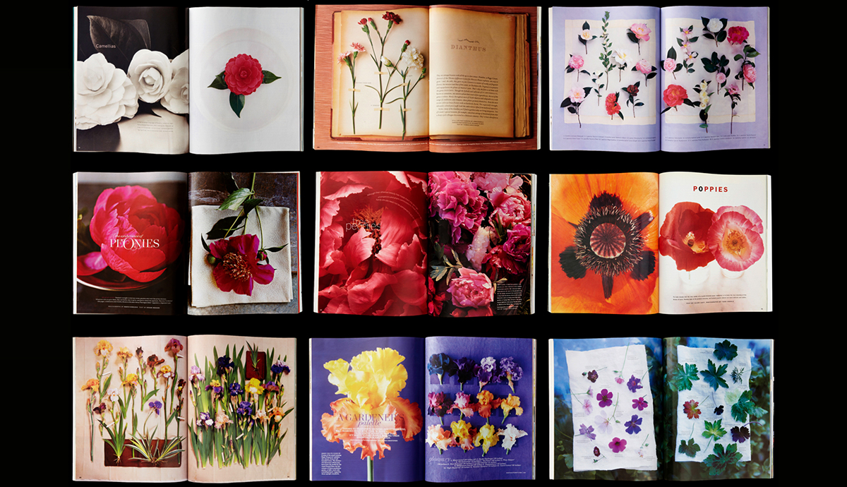 Glossary of Flower Stories