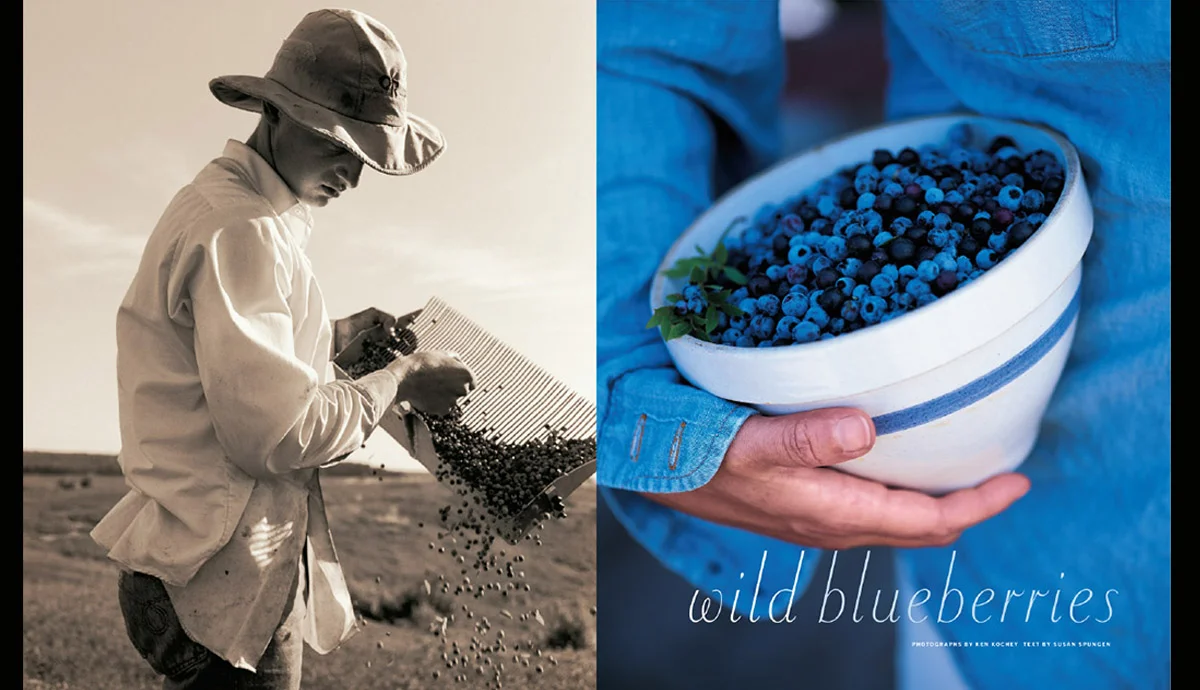 Blueberries