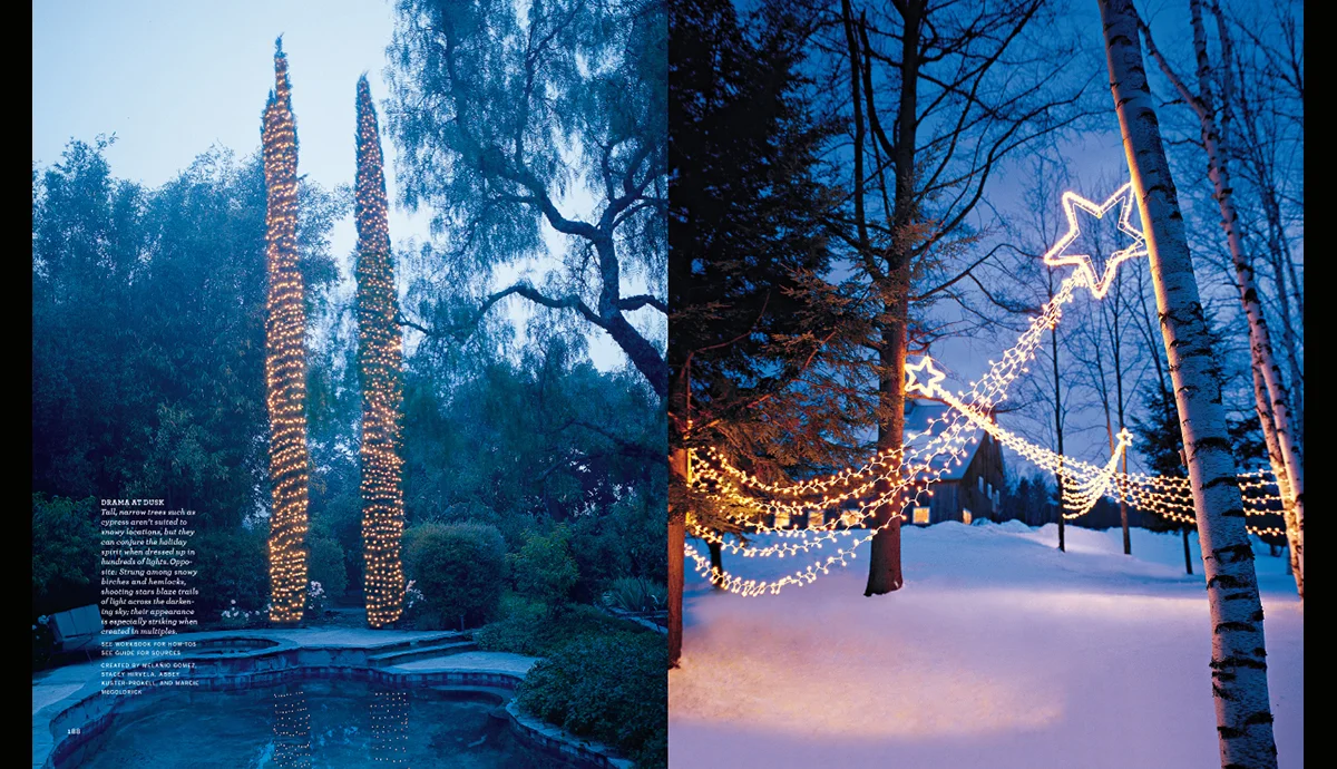 Holiday Lights