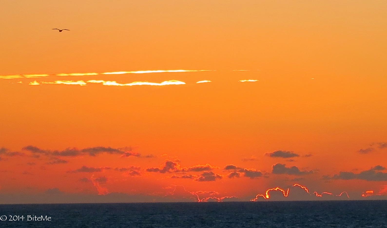 Orange Sky