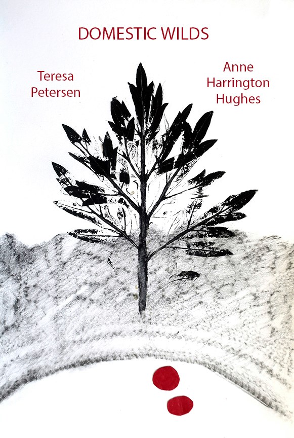 petersen hughes.jpg