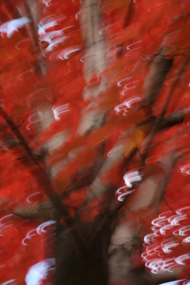 AUTUMN JAZZ