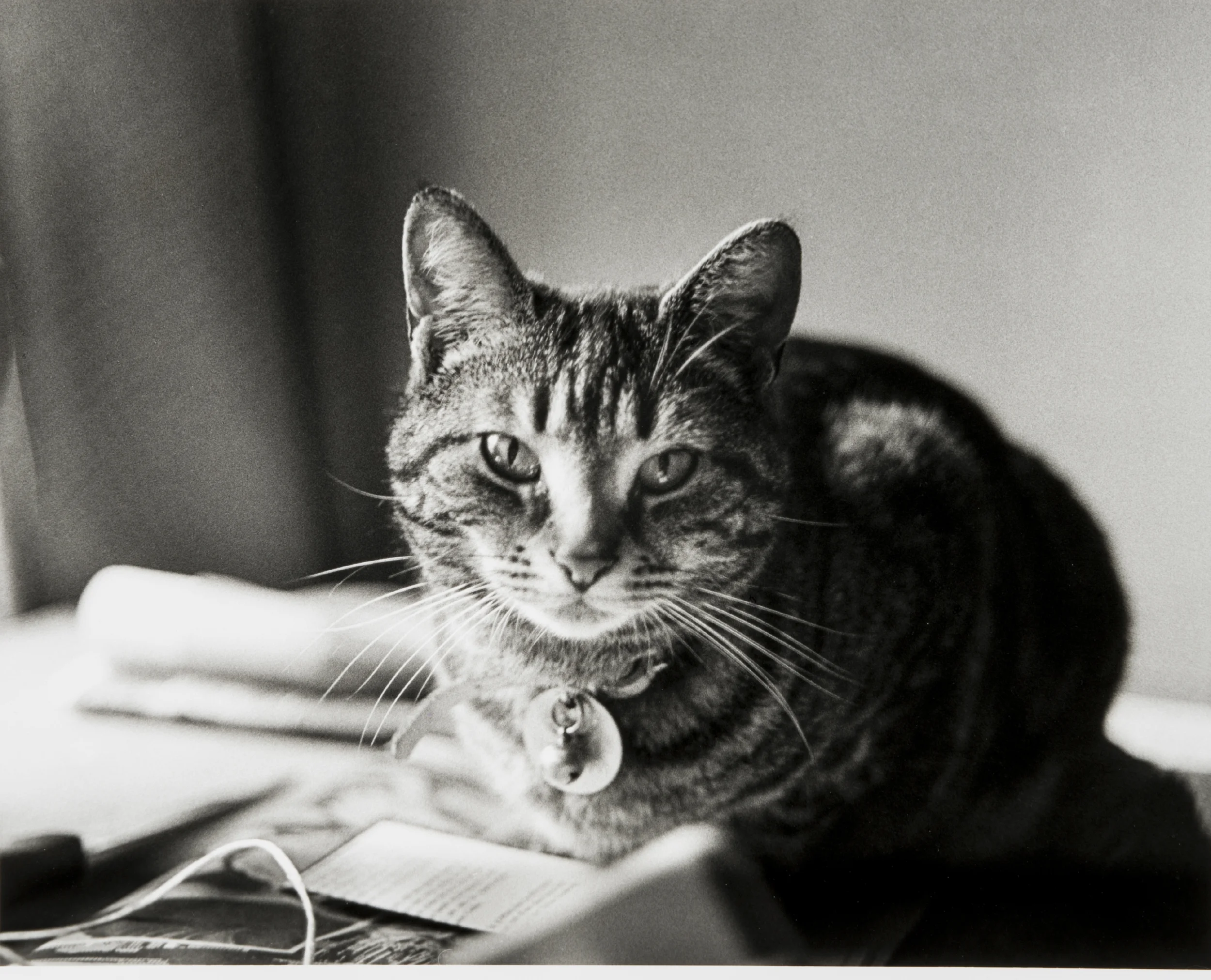 This is a photograph taken by Chris Hanson and Hendrika Sonnenberg. Black and white photograph 19 x 23 in. 1996
