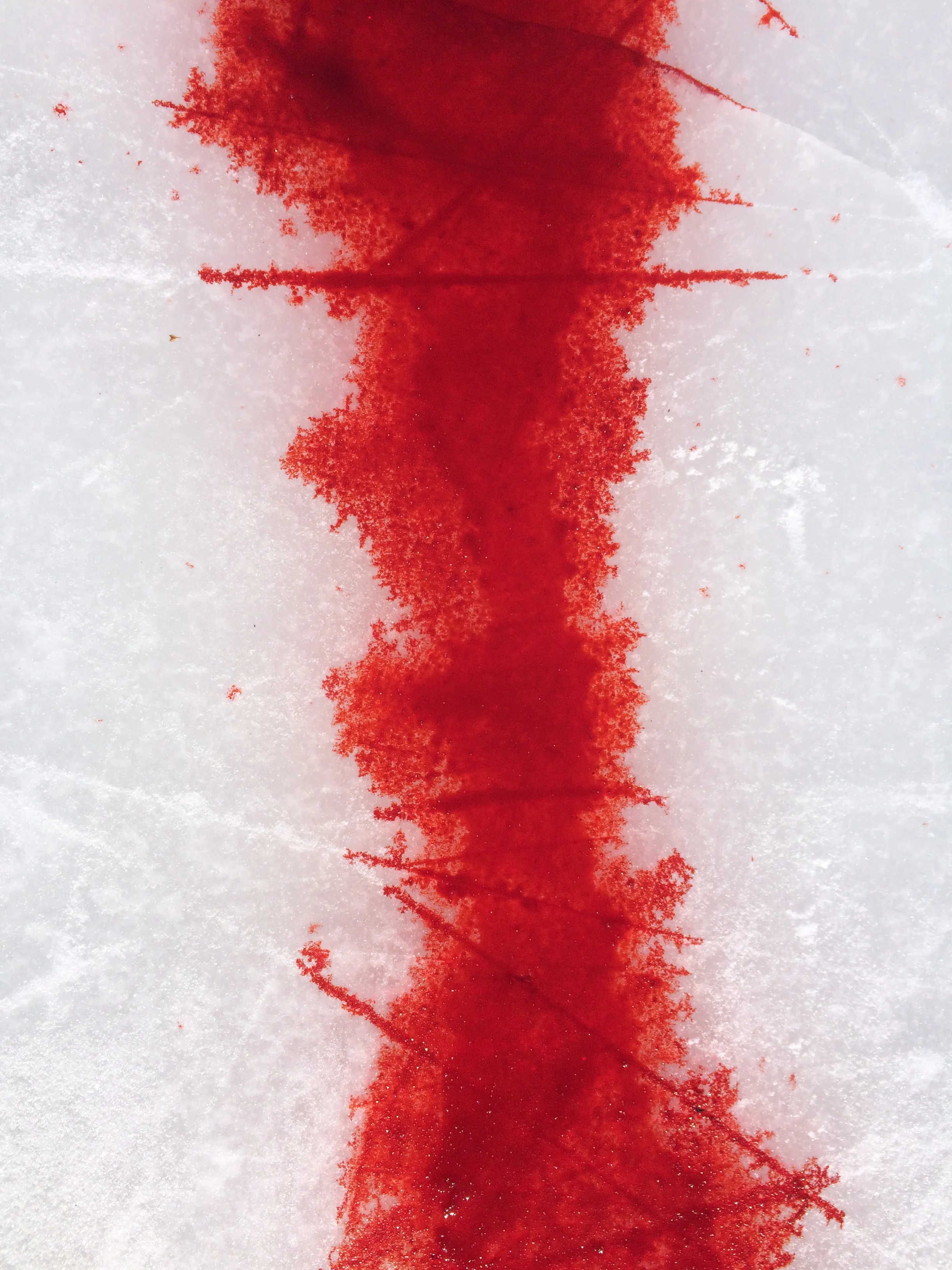 bateman print 1270.JPG