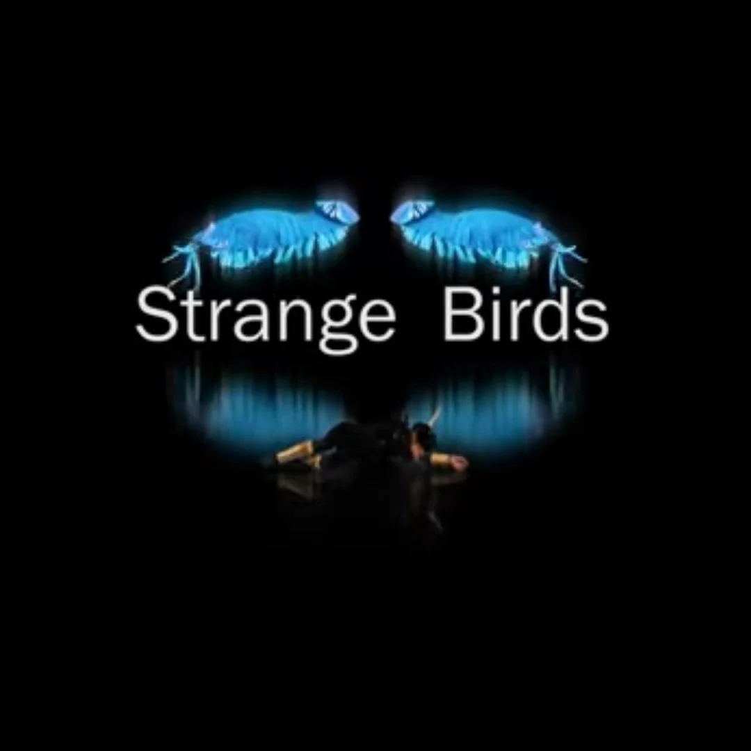  Graeme Patterson  Strange Birds  running time 30 min.  2023 