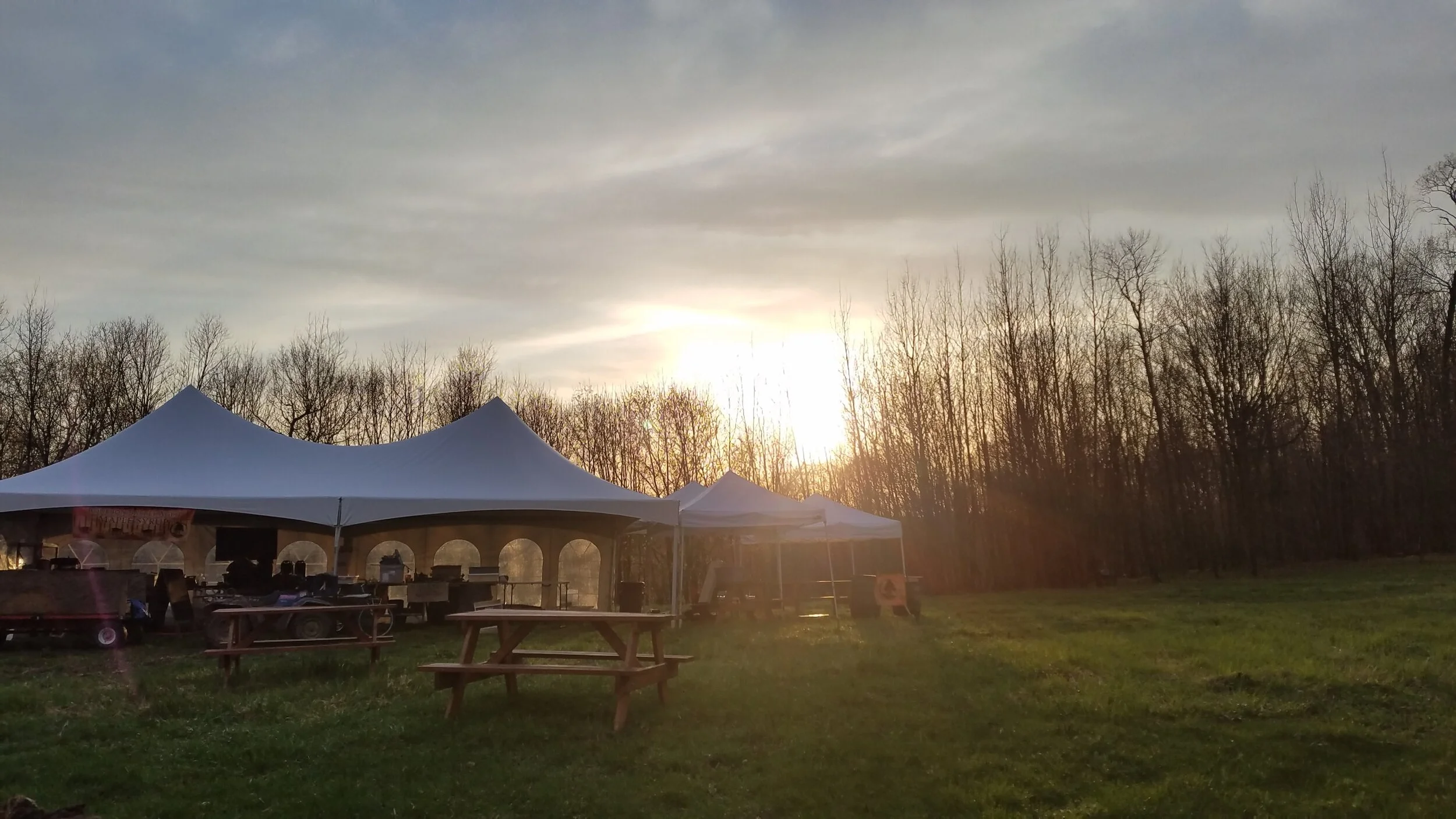 Field Sunset.jpg