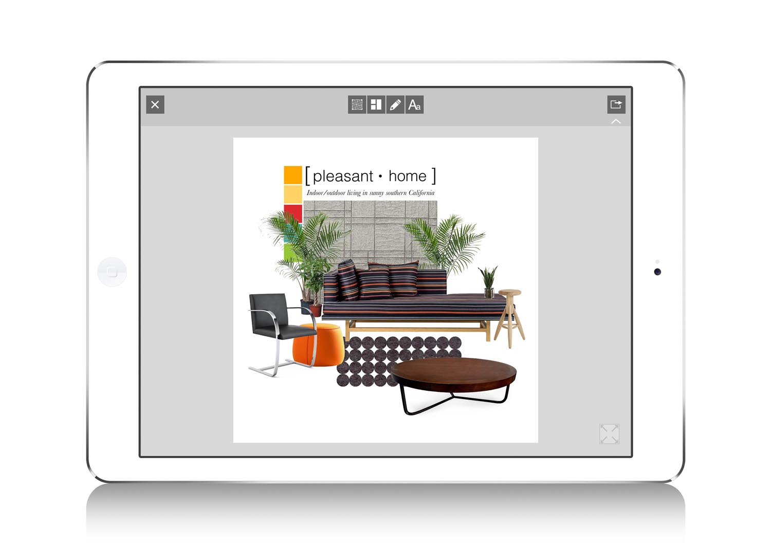 2 morpholio board.jpg