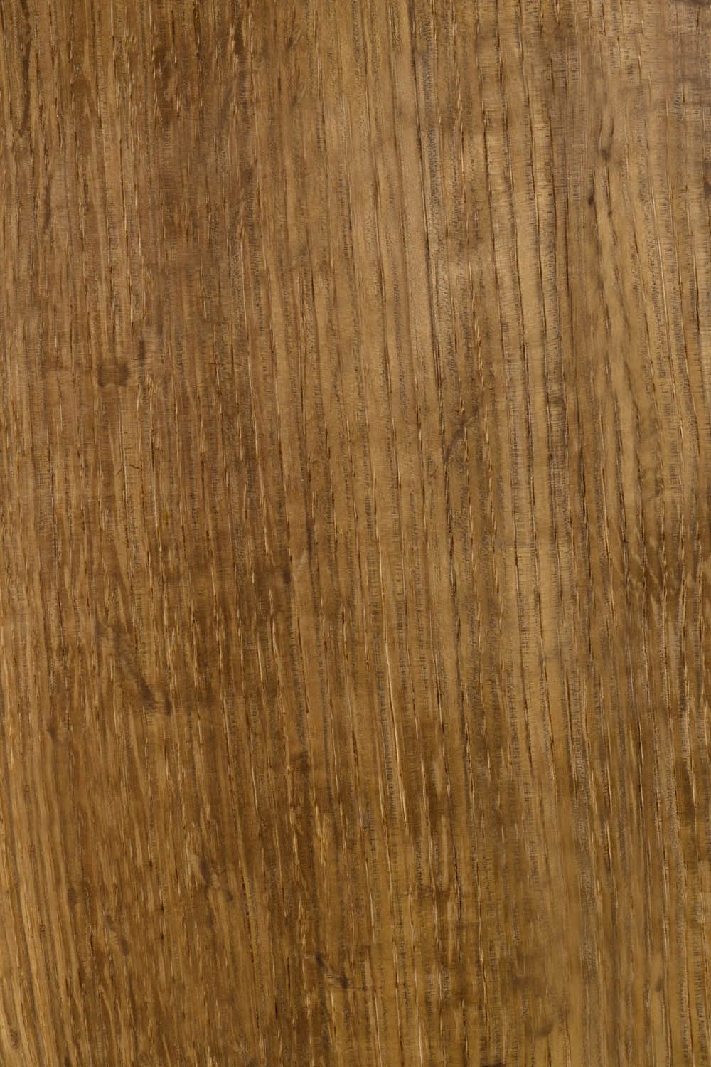 Veneer Options Georswz Kgbl