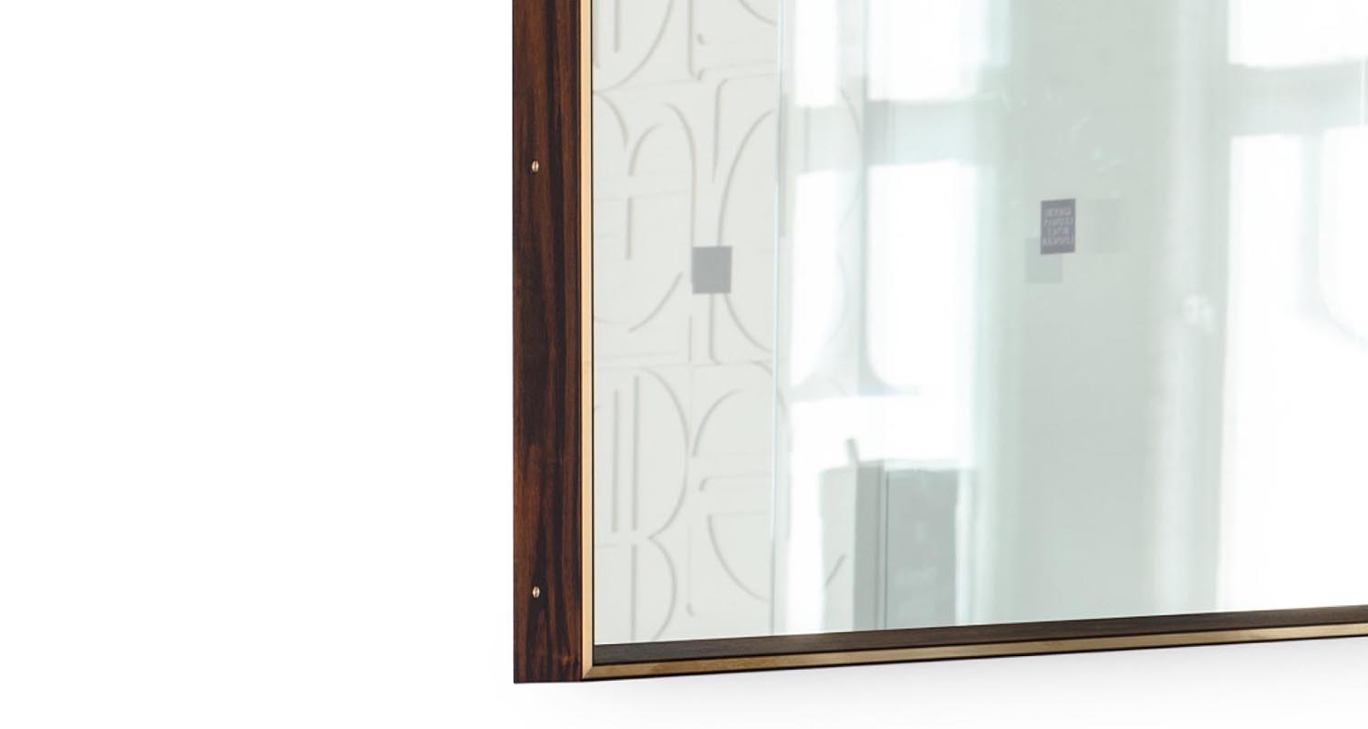 starling mirror 2.jpg