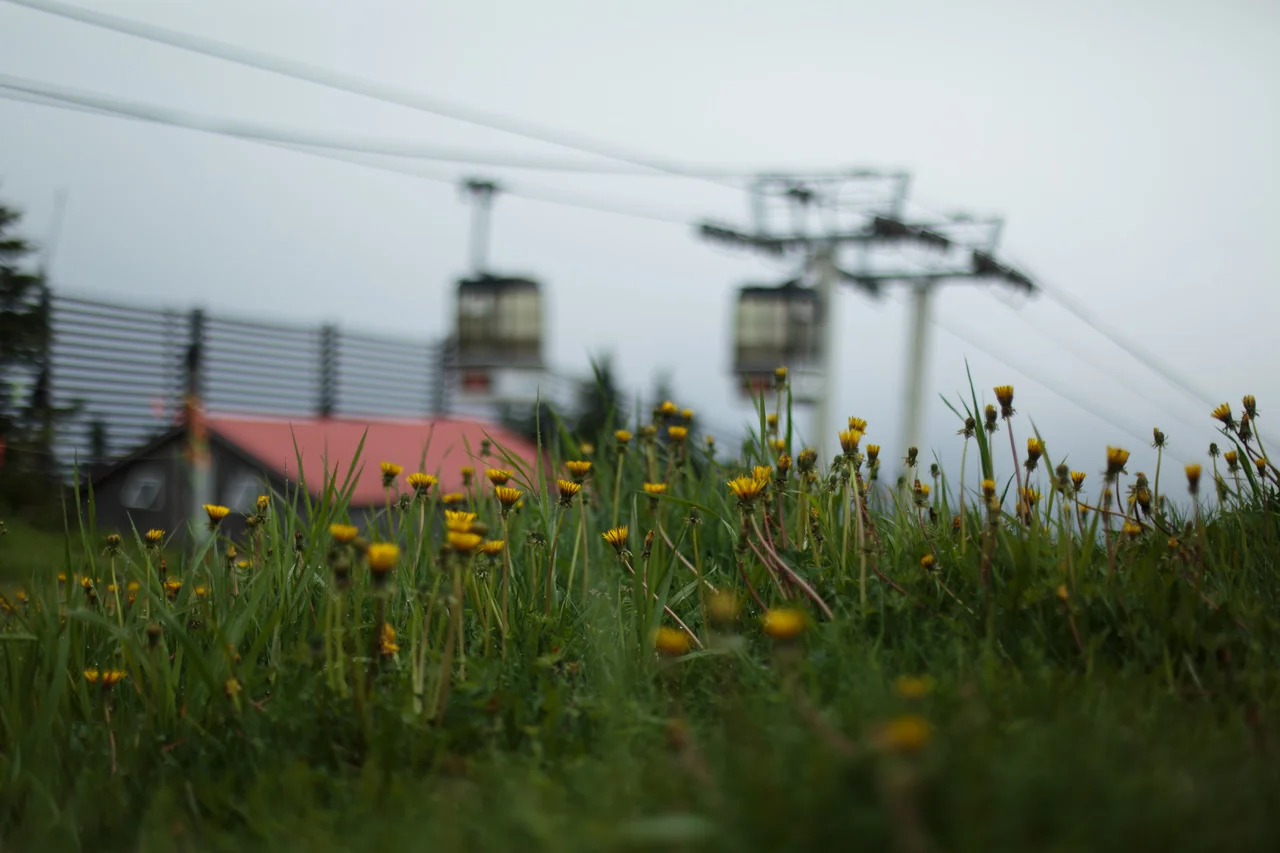 WL_Stratton_2014-0794.jpg