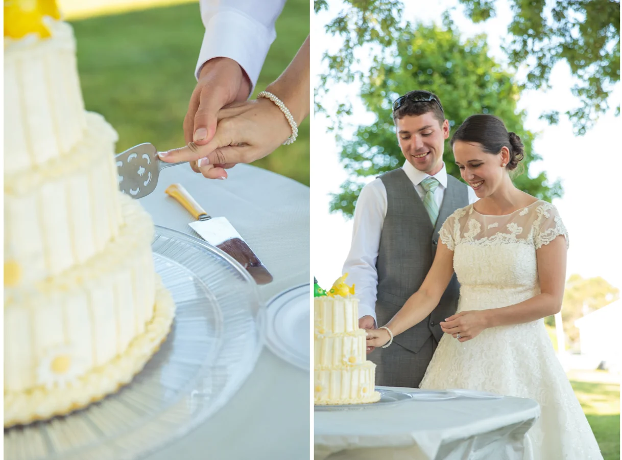 2V_cake.jpg