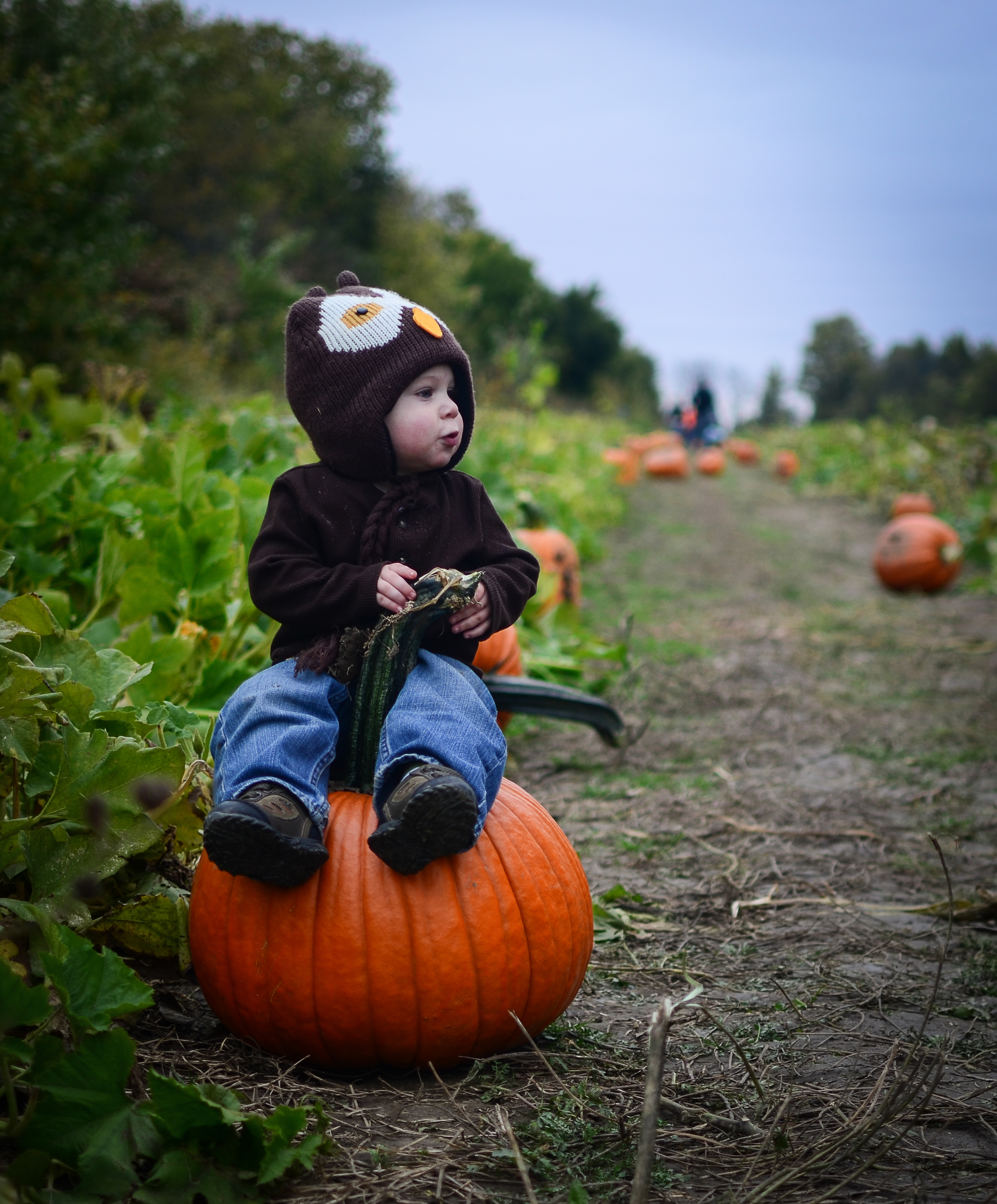 Eddie Pumpkin 