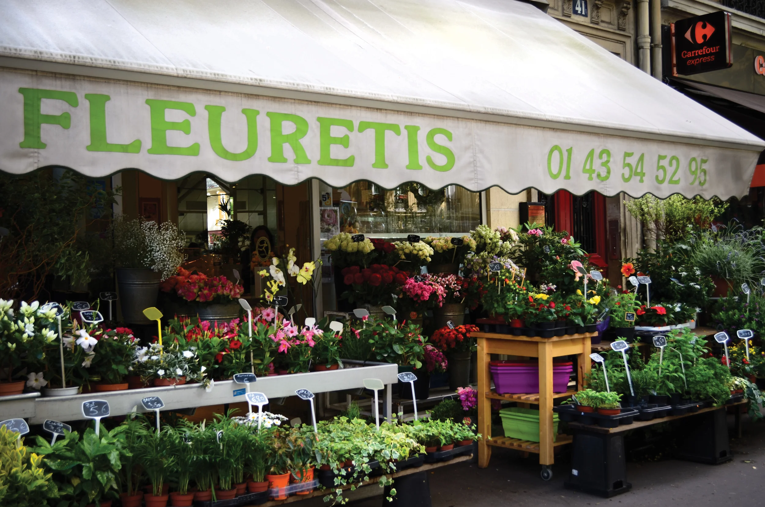 fleurs.jpg