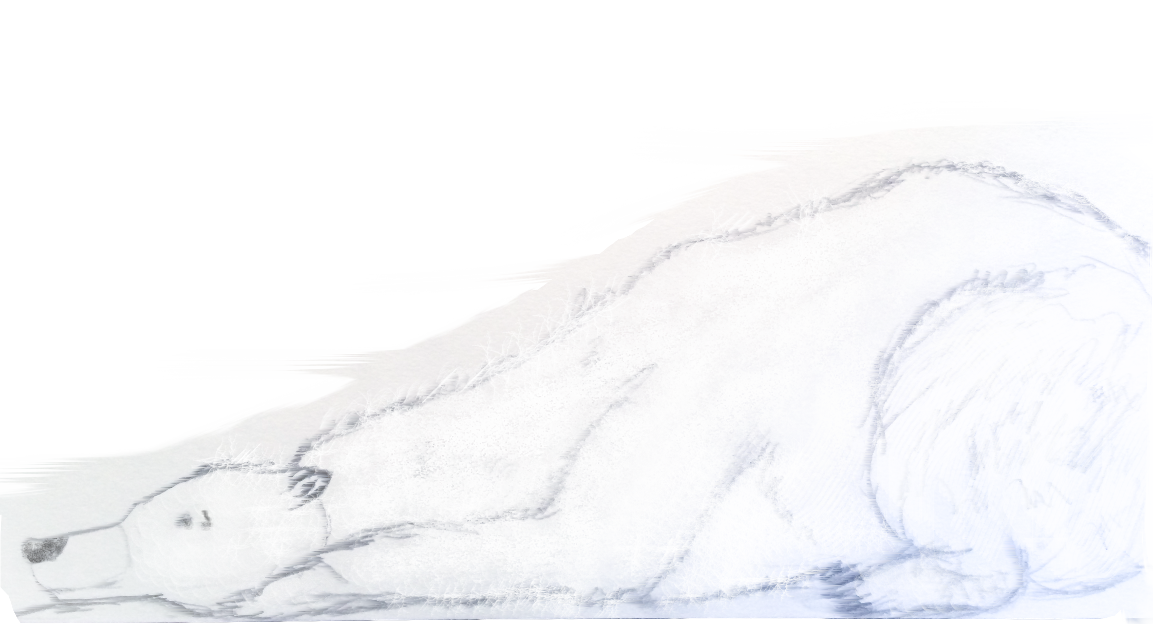 Untitled-7.png