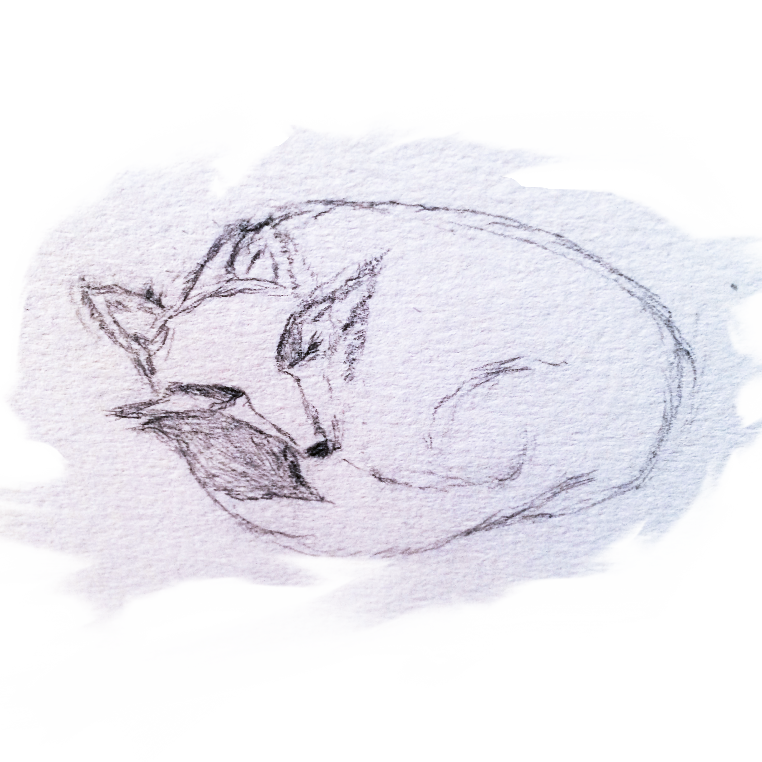FullSizeRender 27.png