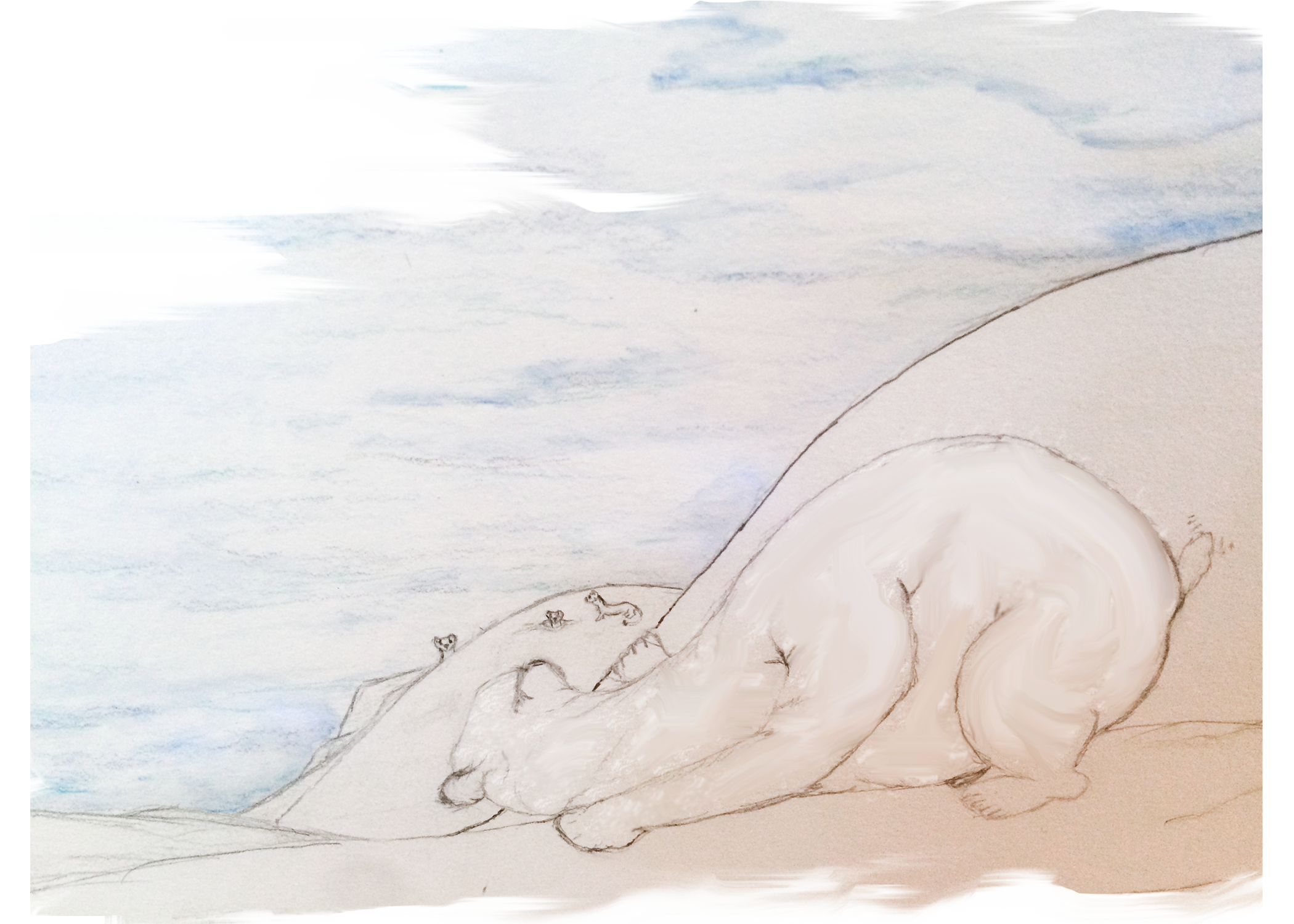 Peakingbear.png