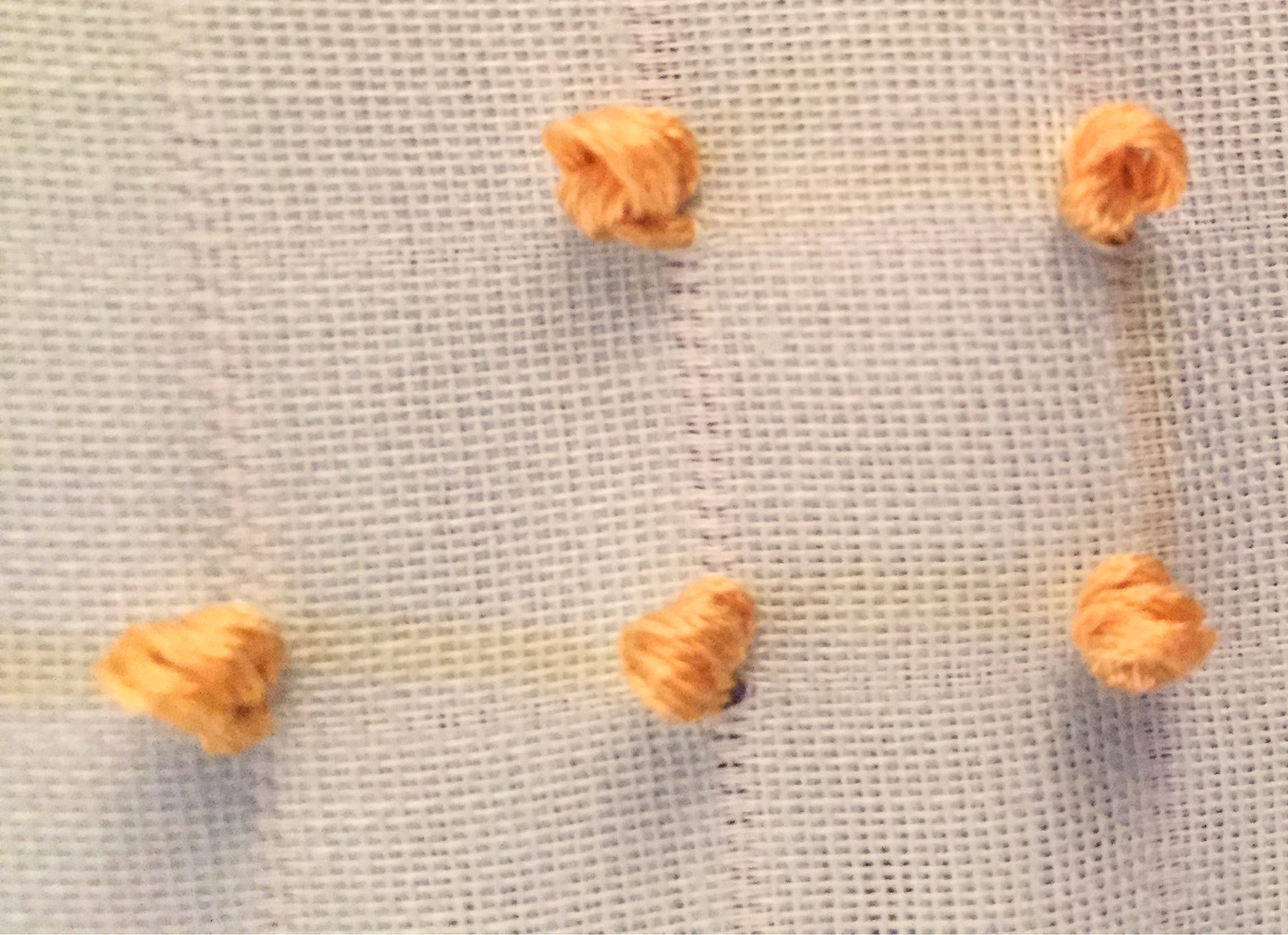Practicing my French Knot stitch