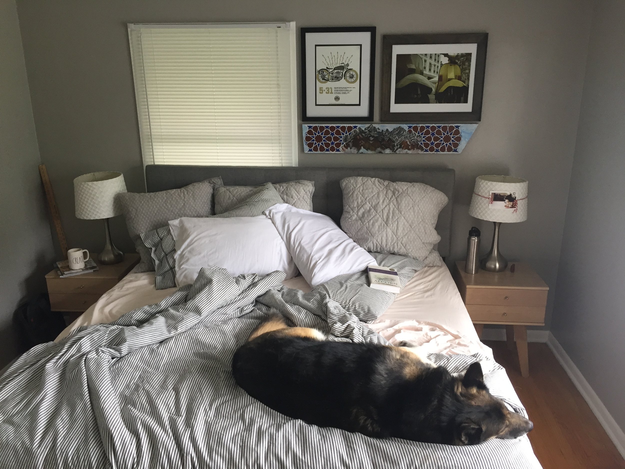 Sunday morning bed. I know what you're thinking. "Where do Mandy and Aaron sleep, given how much room that small moose takes up?" Yeah. We don't know, either.