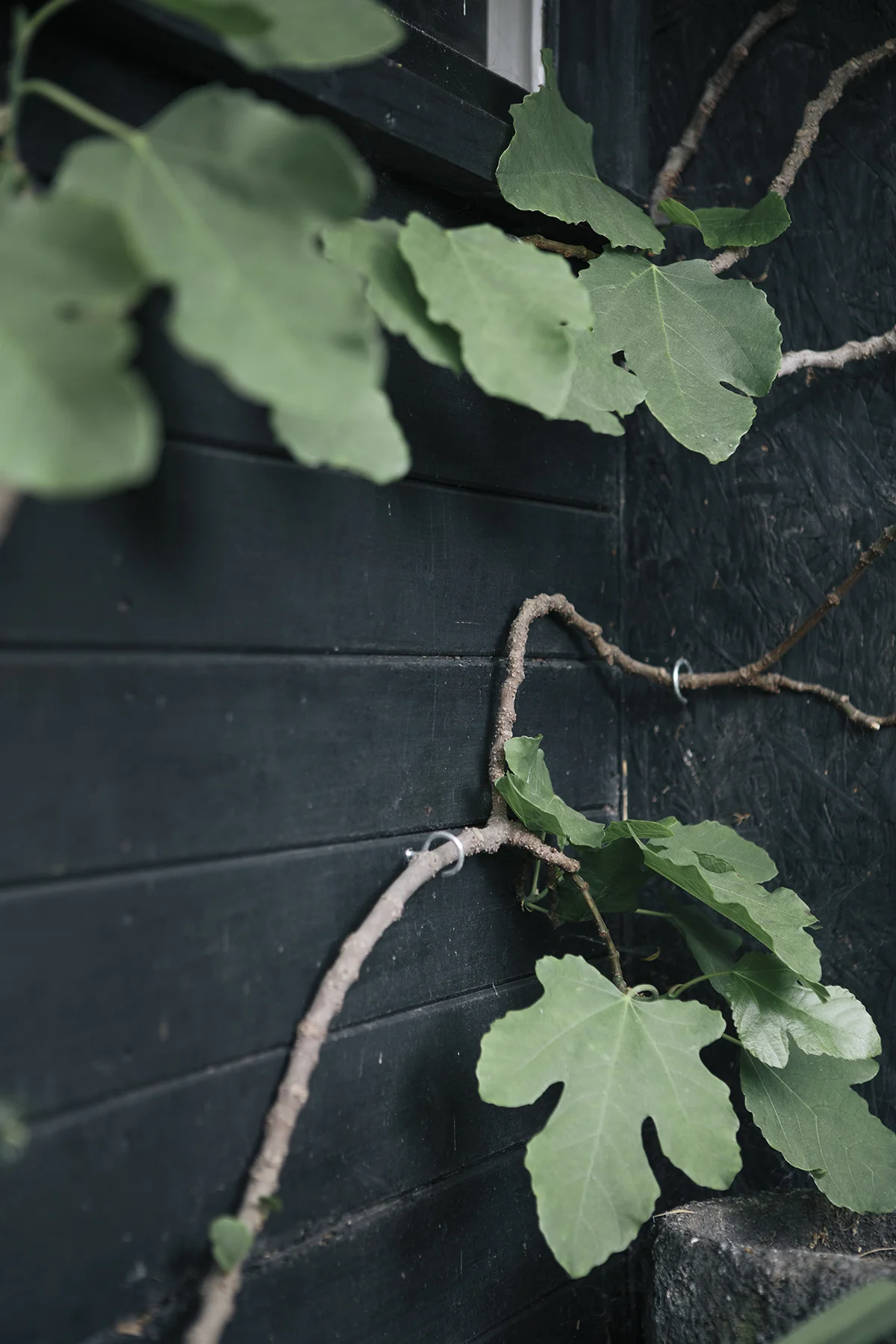 Forest & Found_Anna + Tam_005.jpg