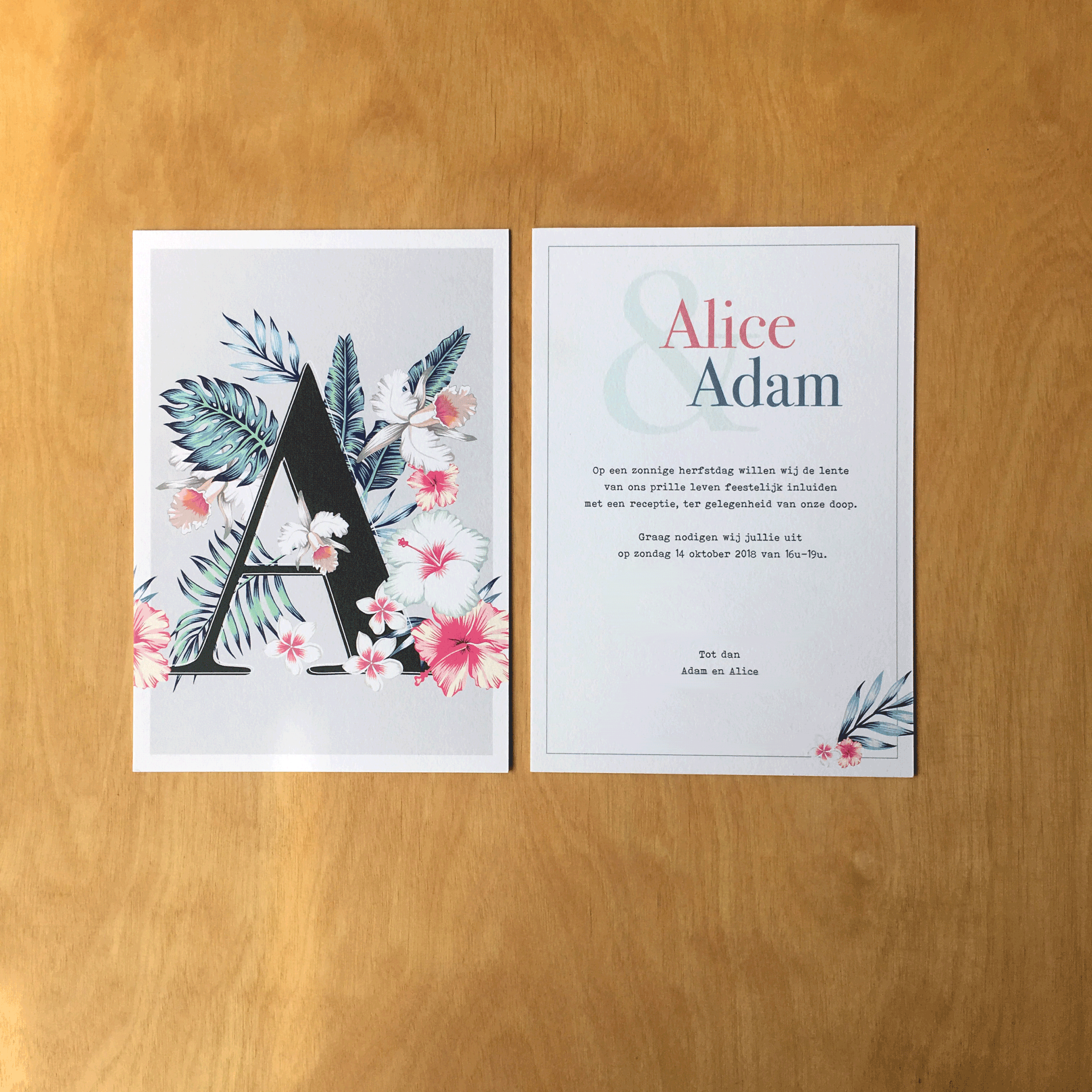 Alice_7297.gif