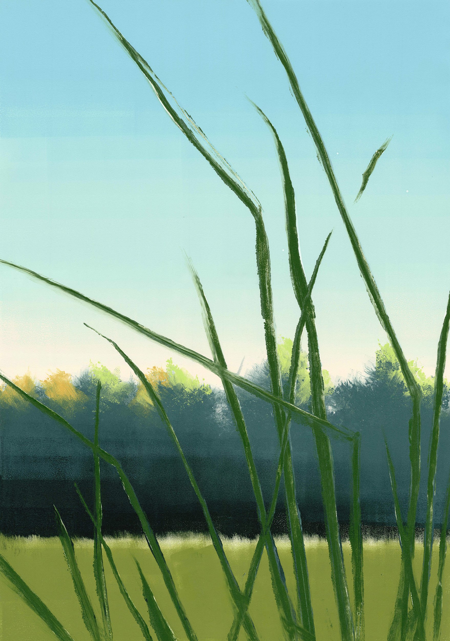 Dawn Grass.jpg