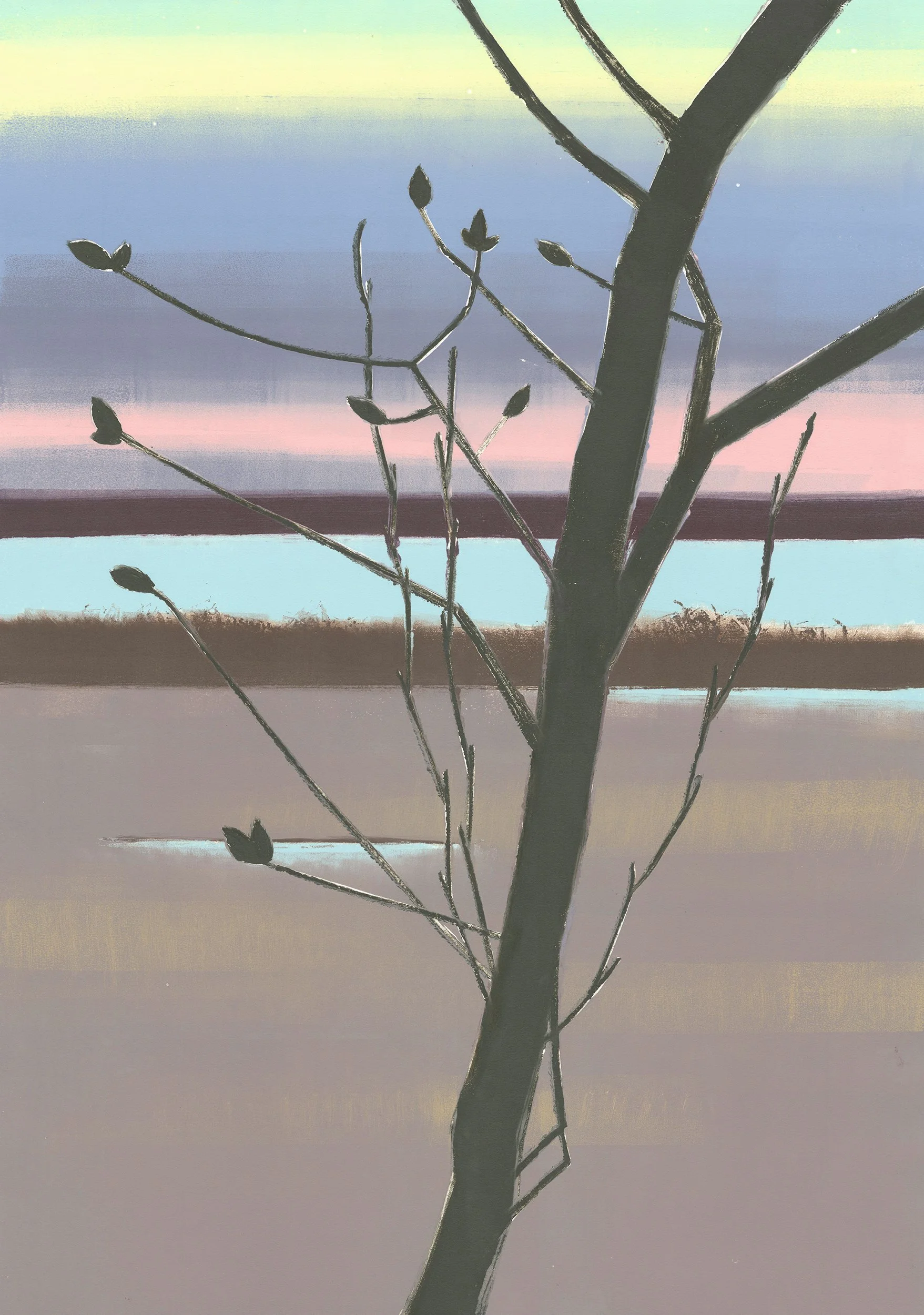 Magnolia.jpg