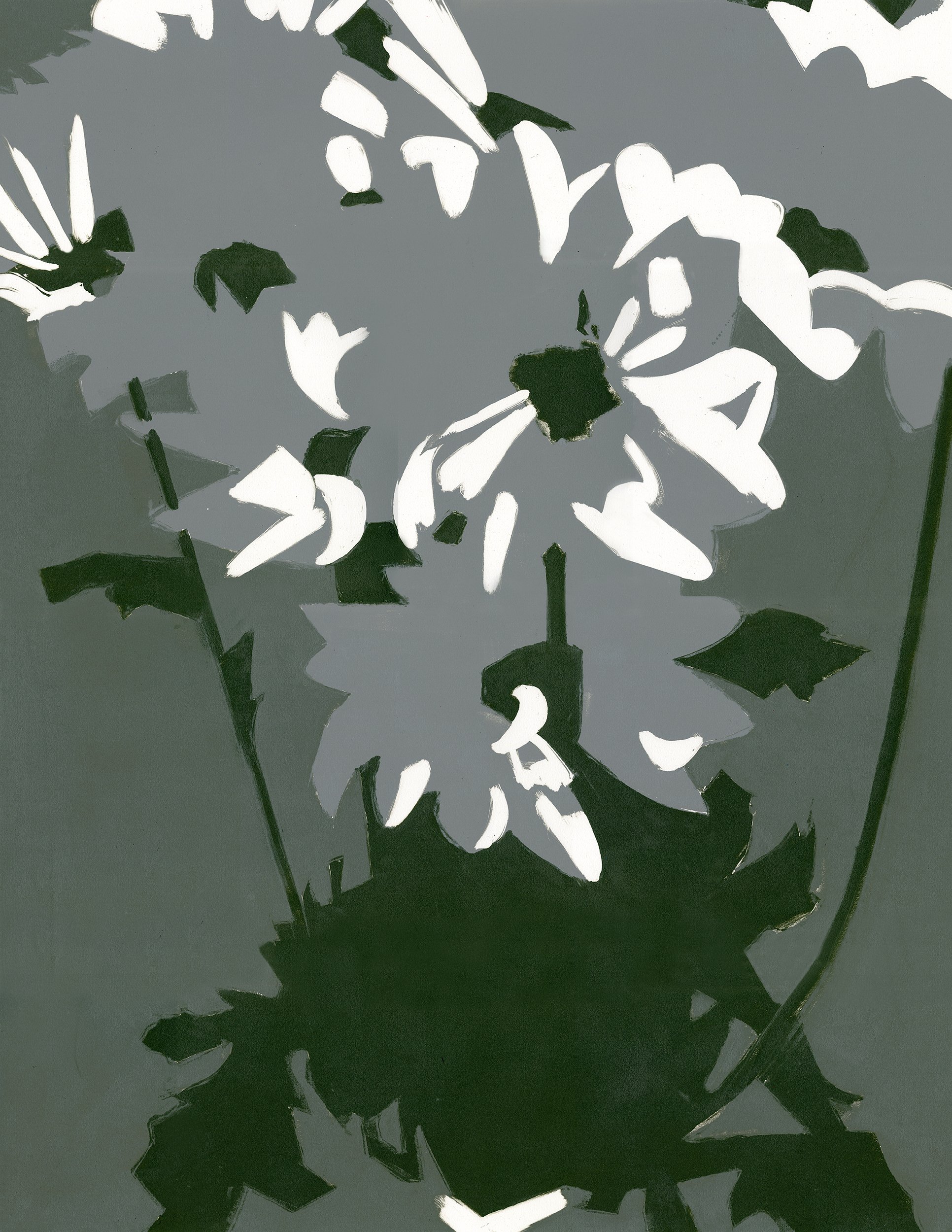 Daisies I.jpg