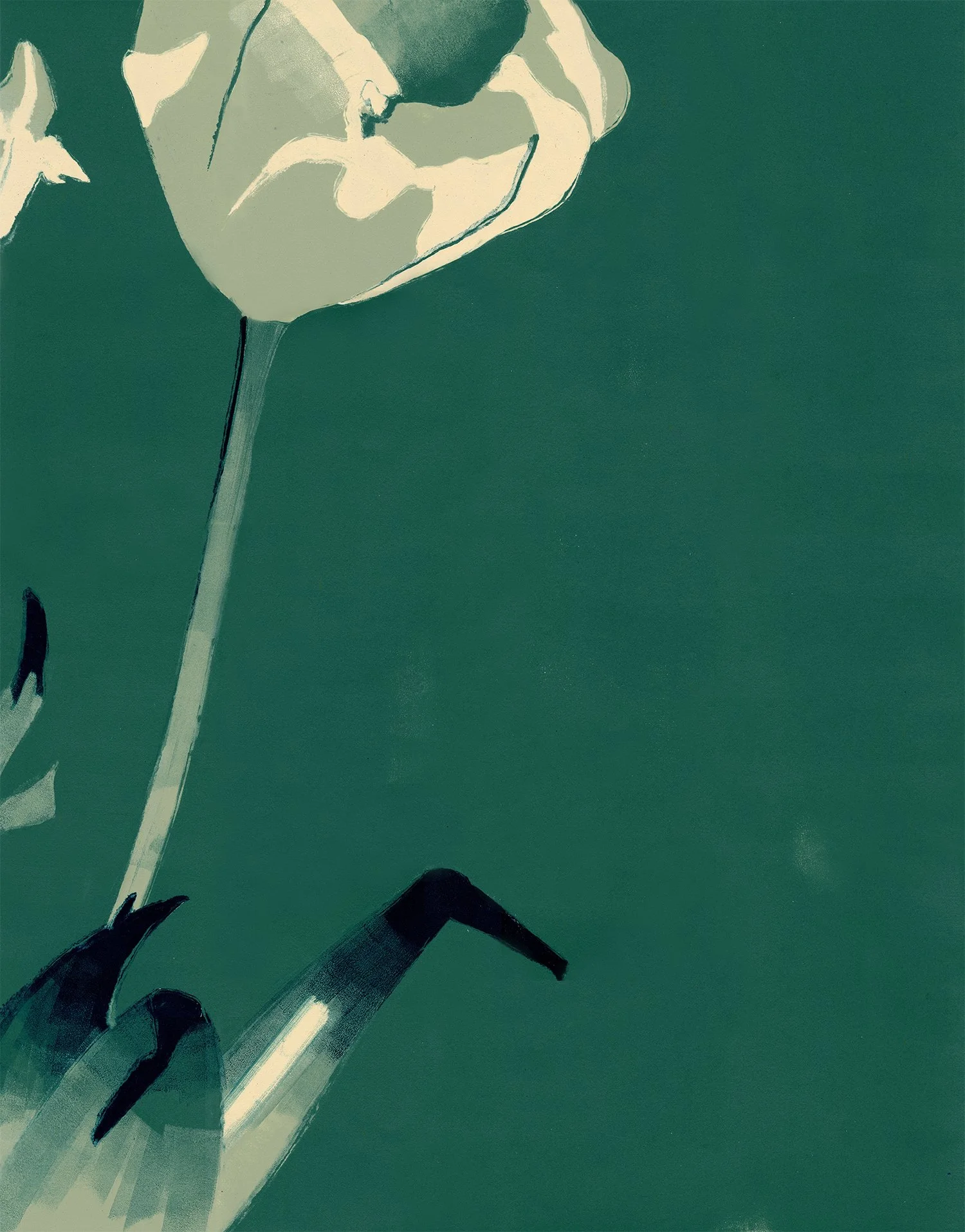 Tulips I.jpg