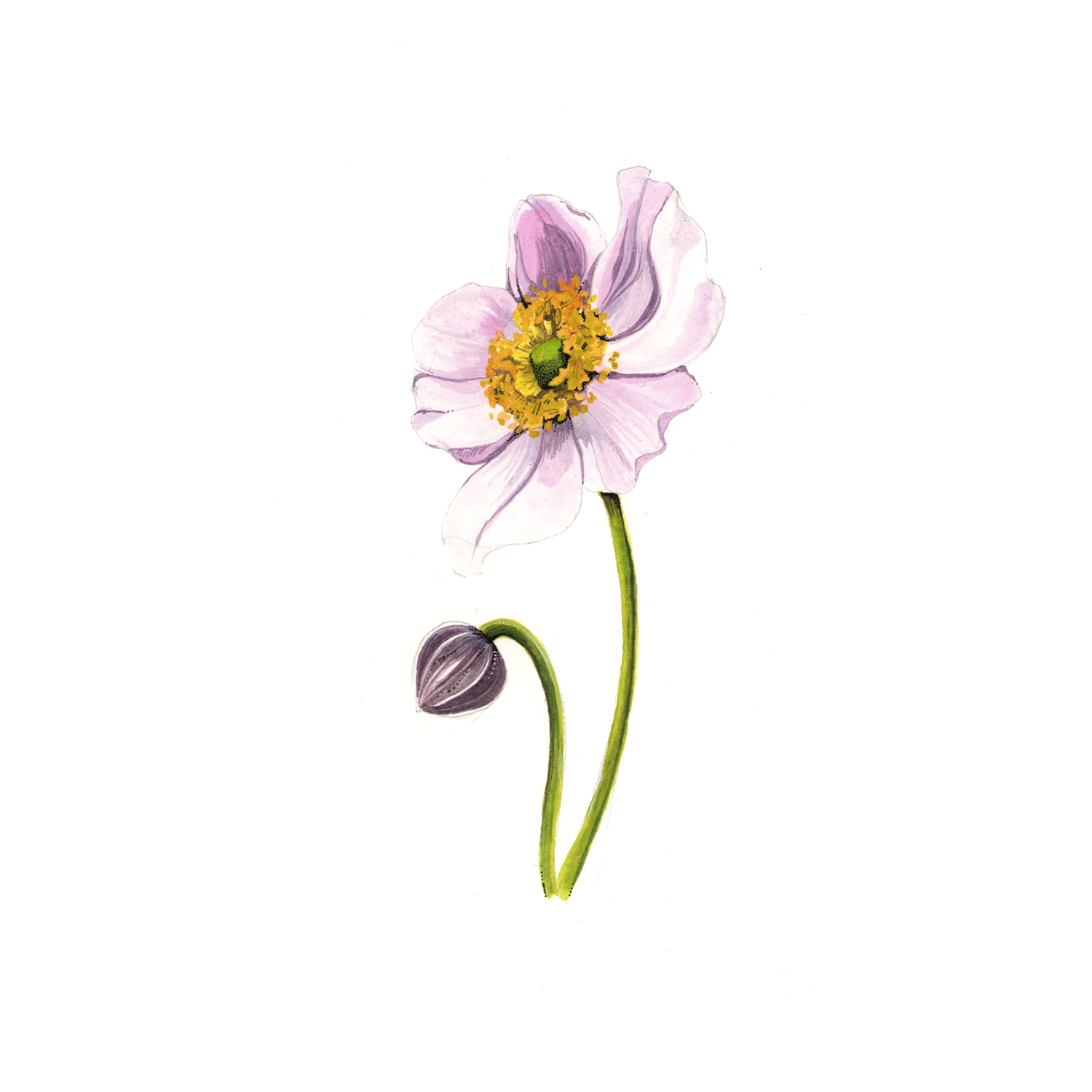 anemone-painting-etsy.jpg