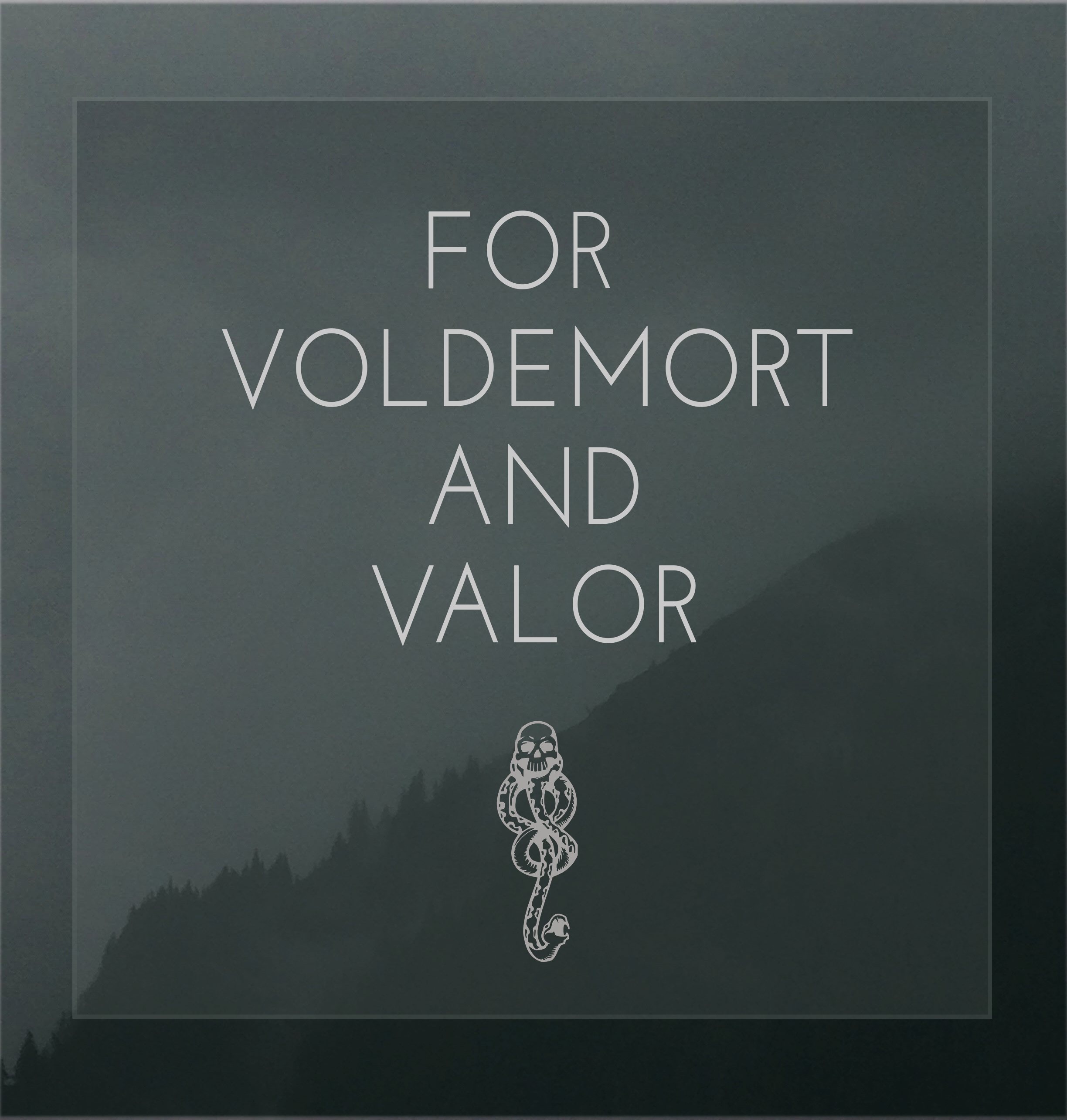 For Voldemort And Valor